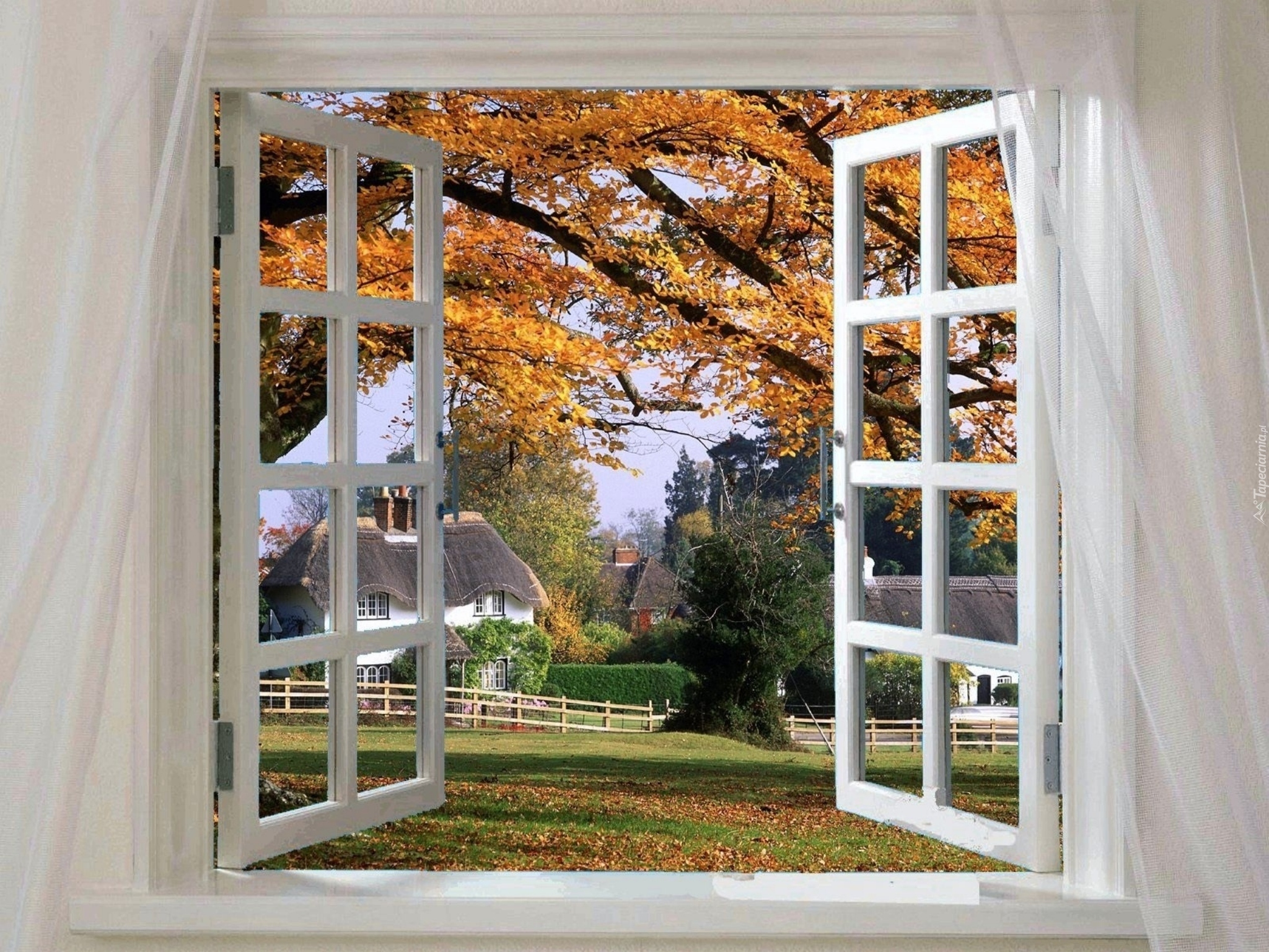 jesienny-widok-przez-okno