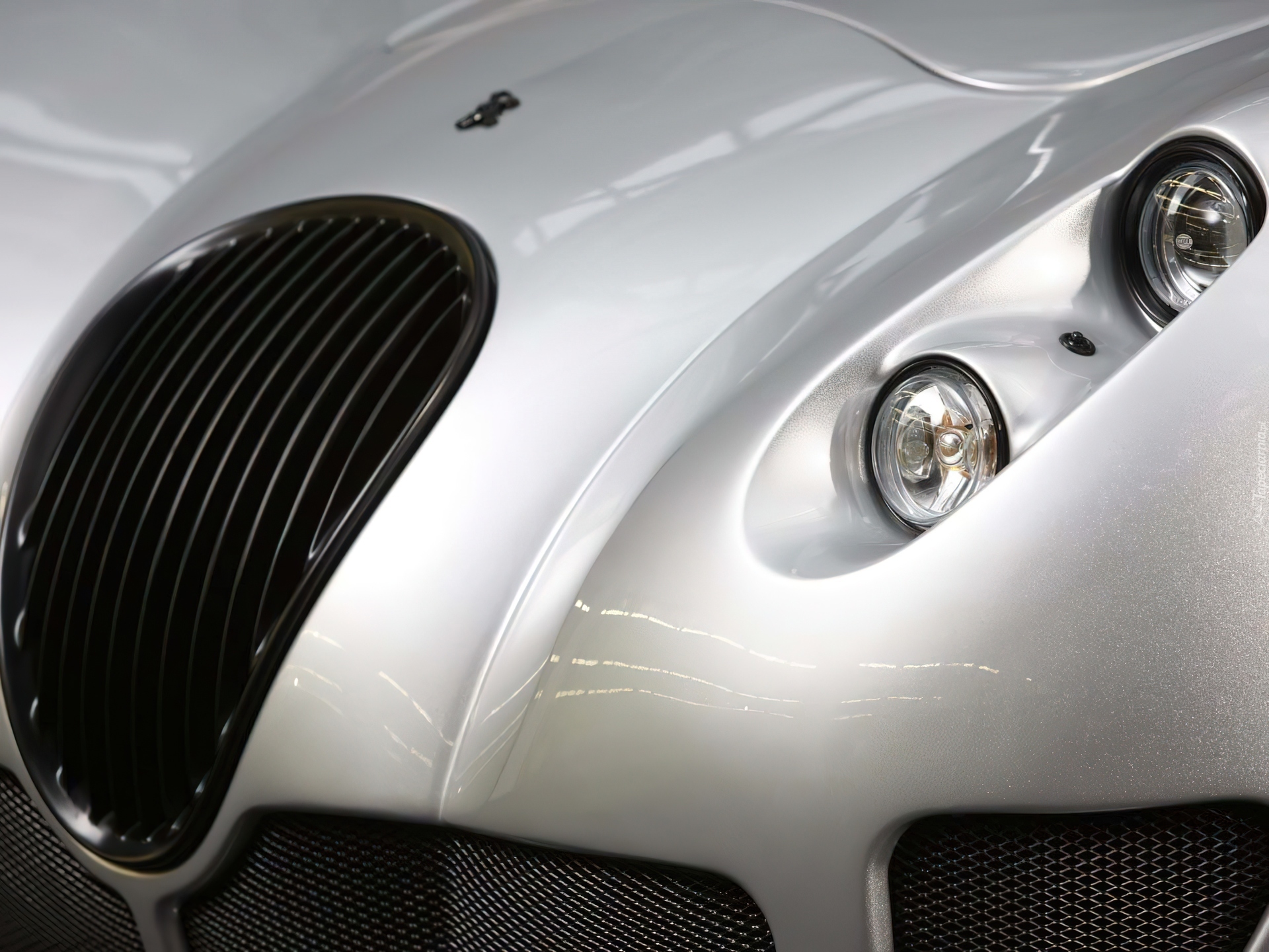 Wiesmann GT MF5, Grill