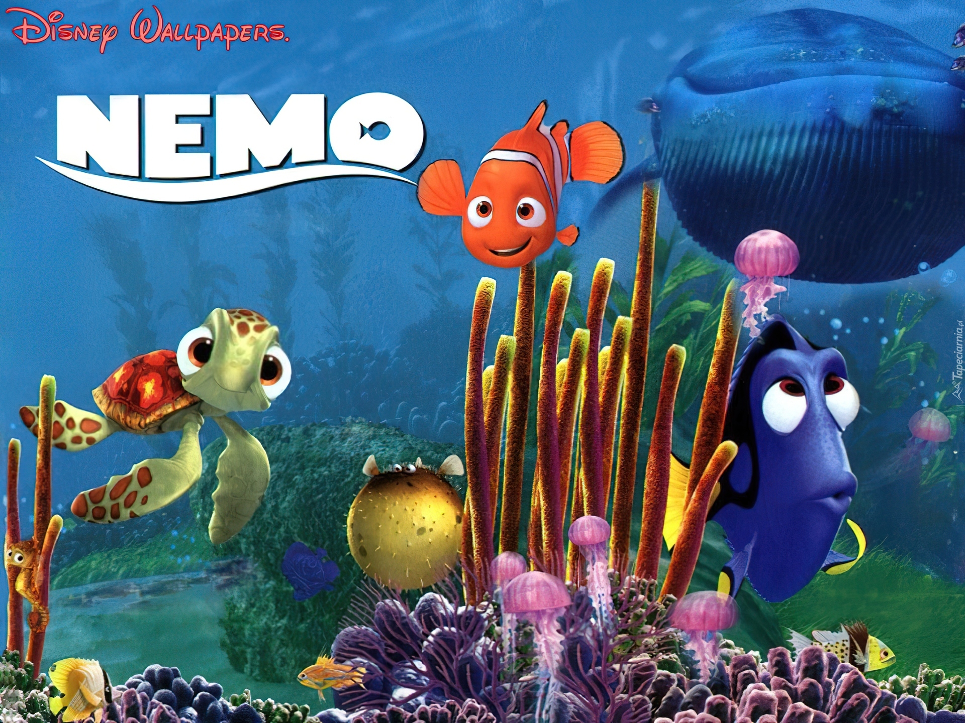 Gdzie jest Nemo, Finding Nemo, Bohaterowie