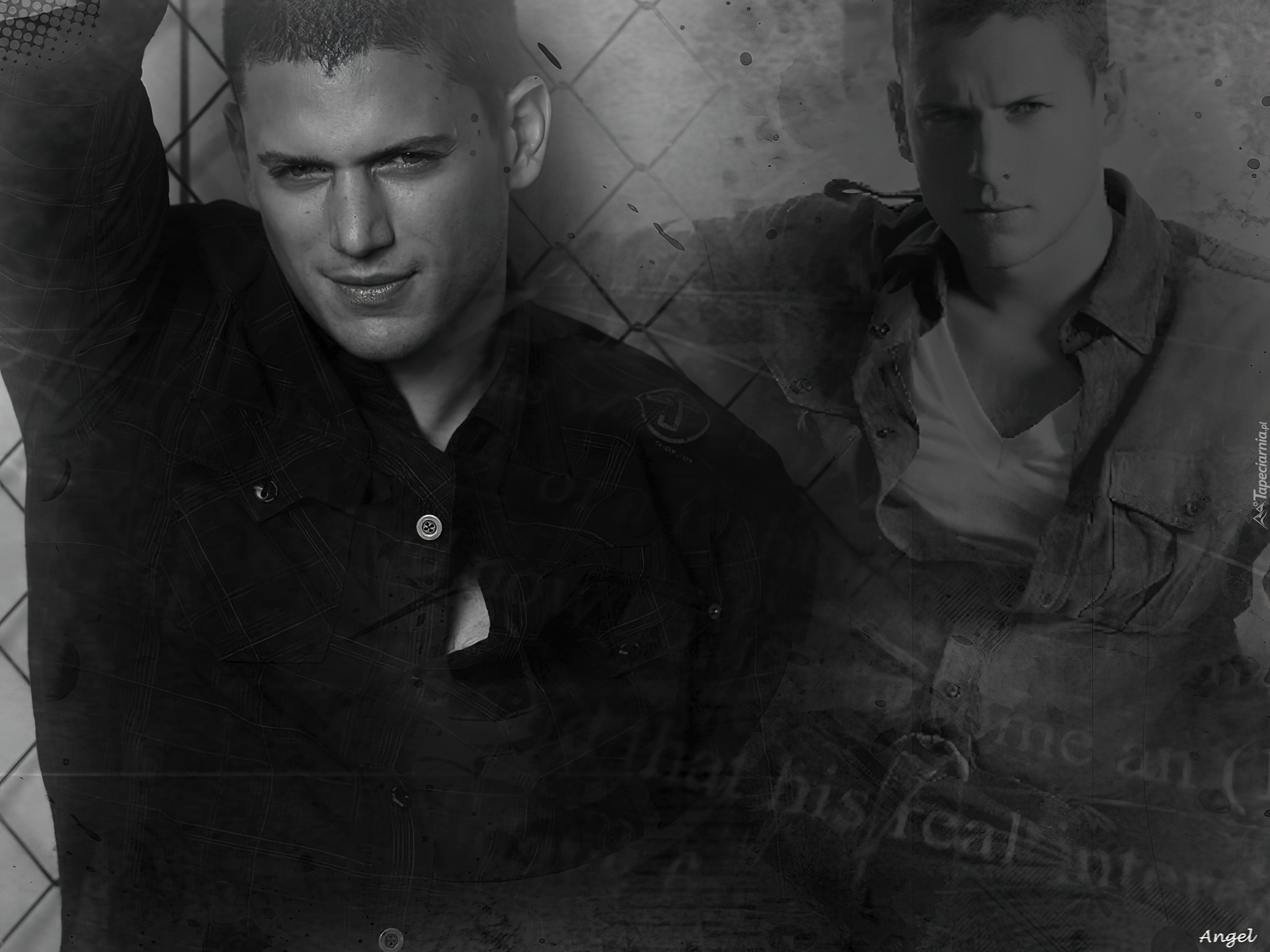 Wentworth Miller, Prison, Break