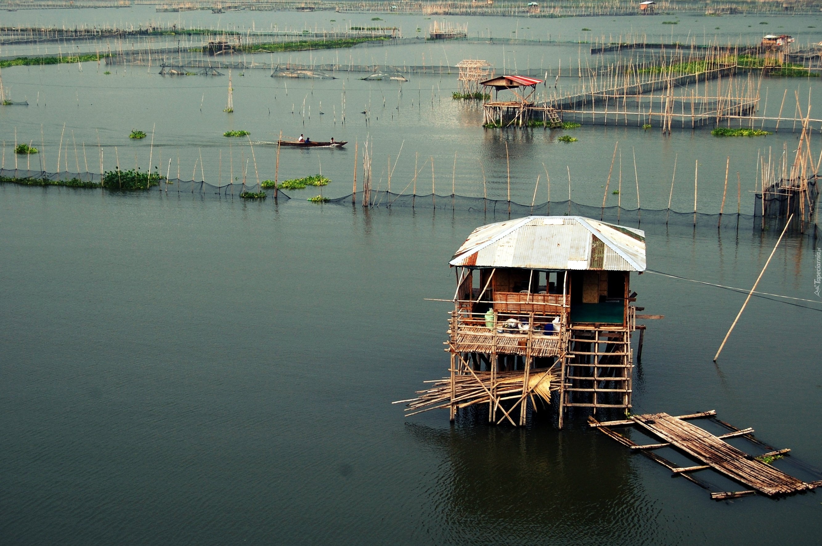 Laguna de Bay, Acrdona, Rizal, Filipiny