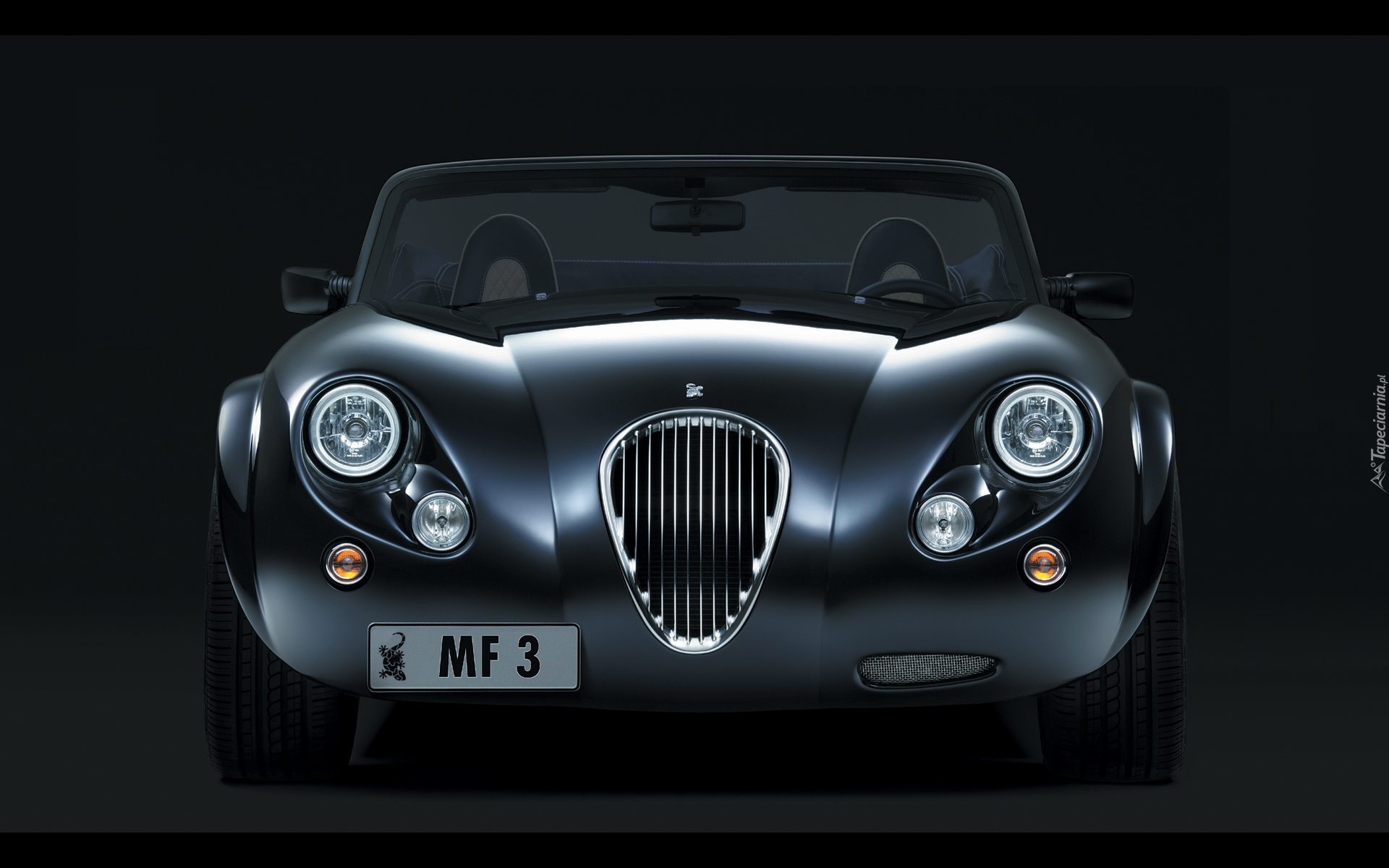 Przód, Wiesmann MF3, Grill