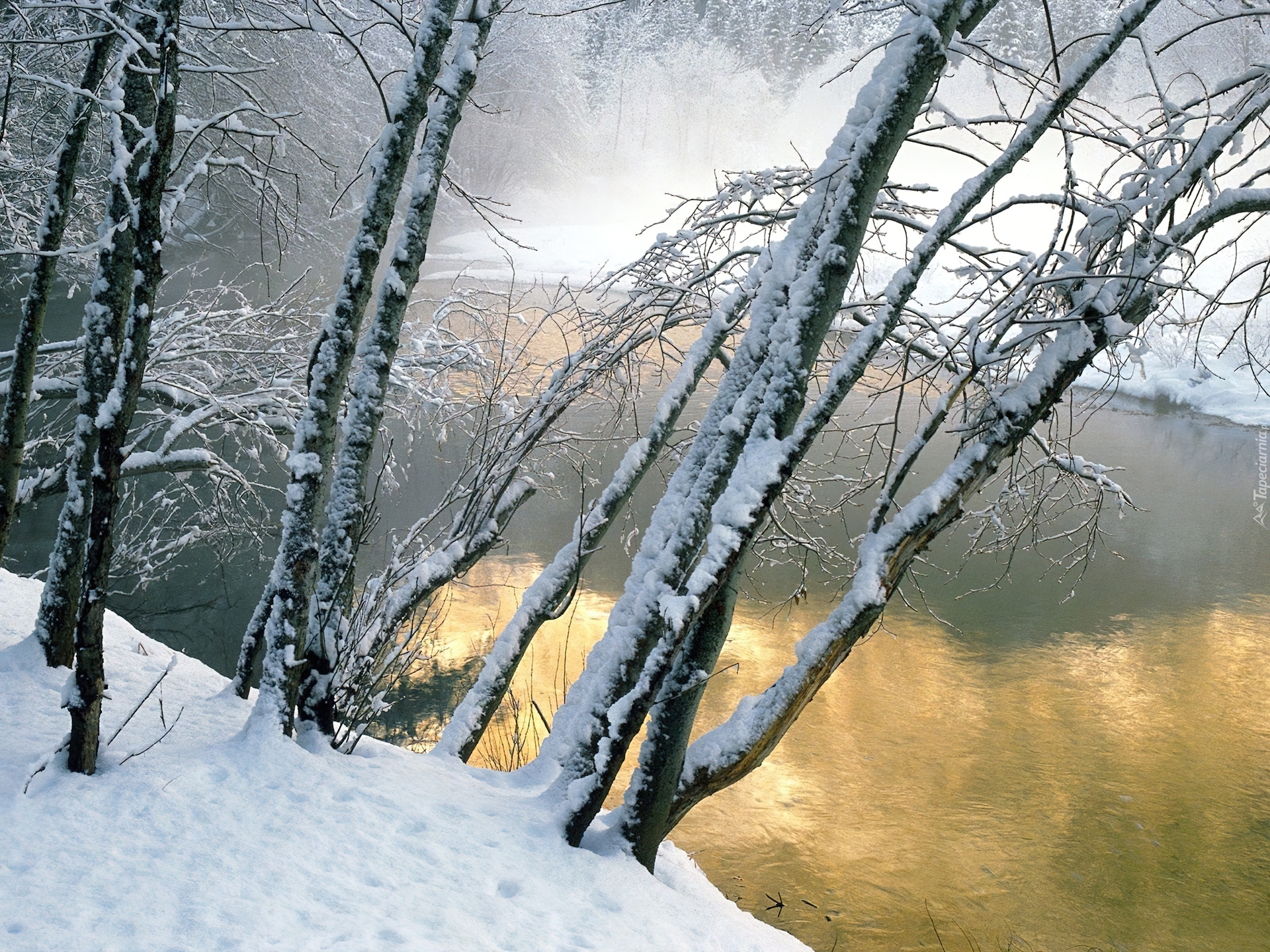 Leśna, Rzeka, Zima