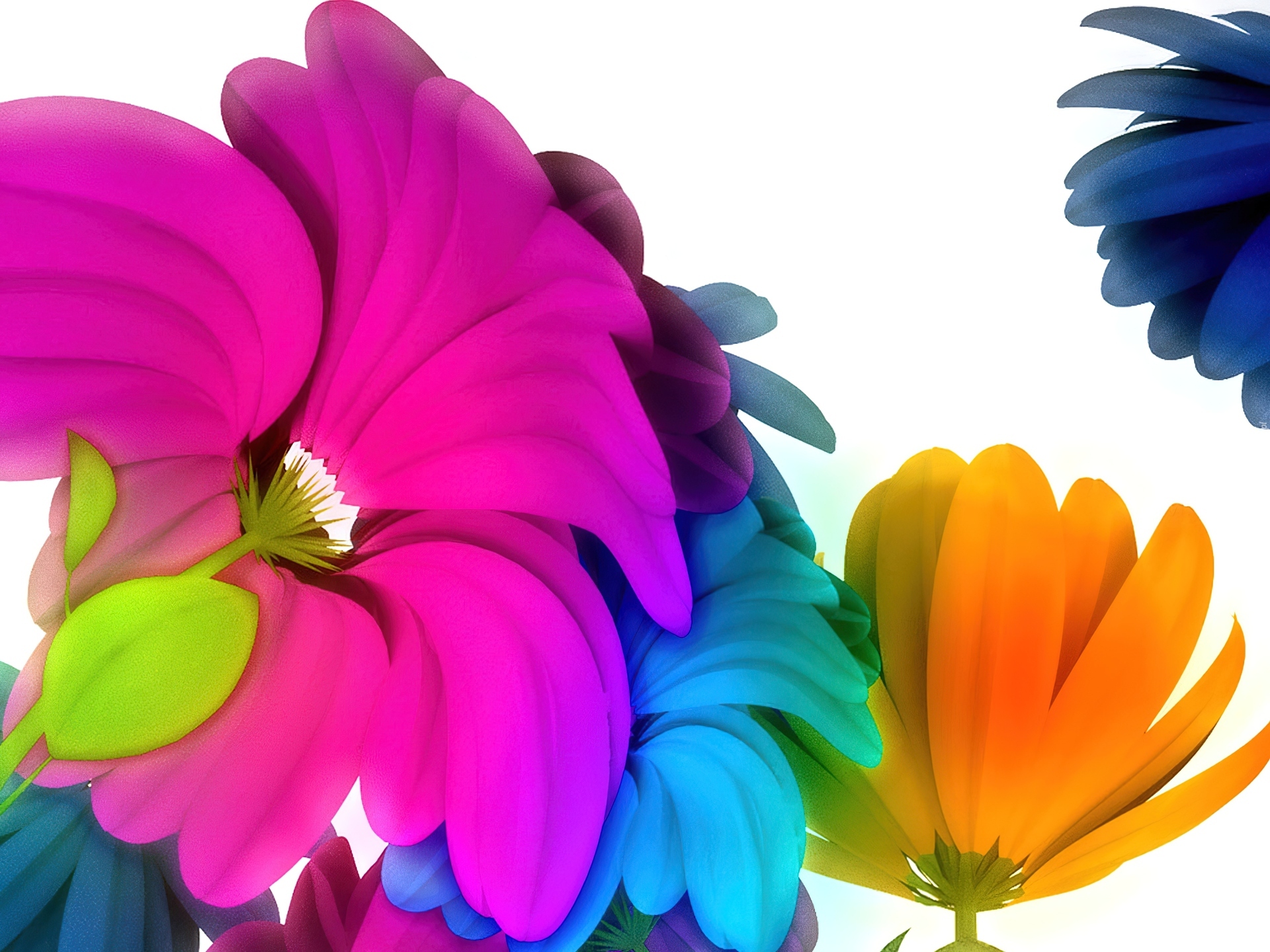 Kolorowe, Kwiaty, 3D