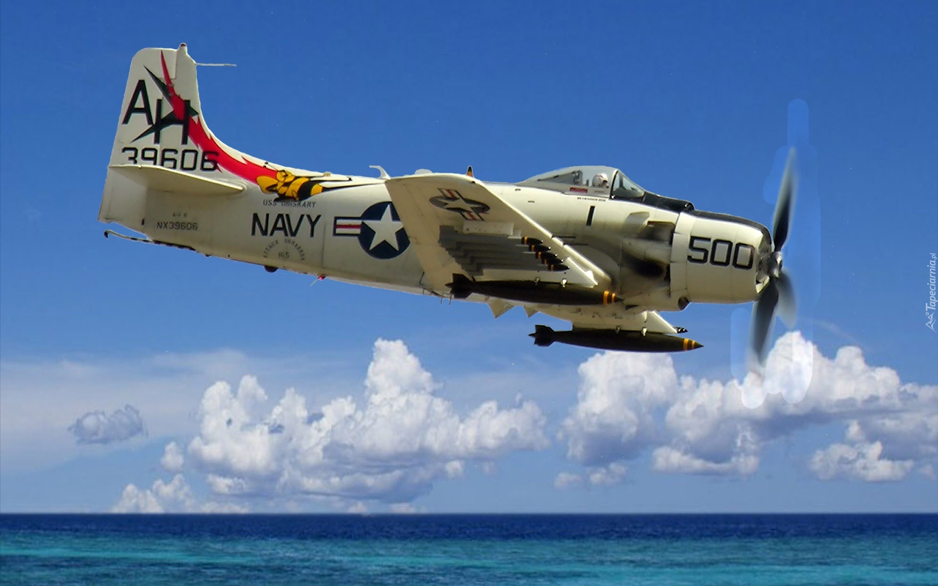 Douglas A-1H Skyraider, Uzbrojenie