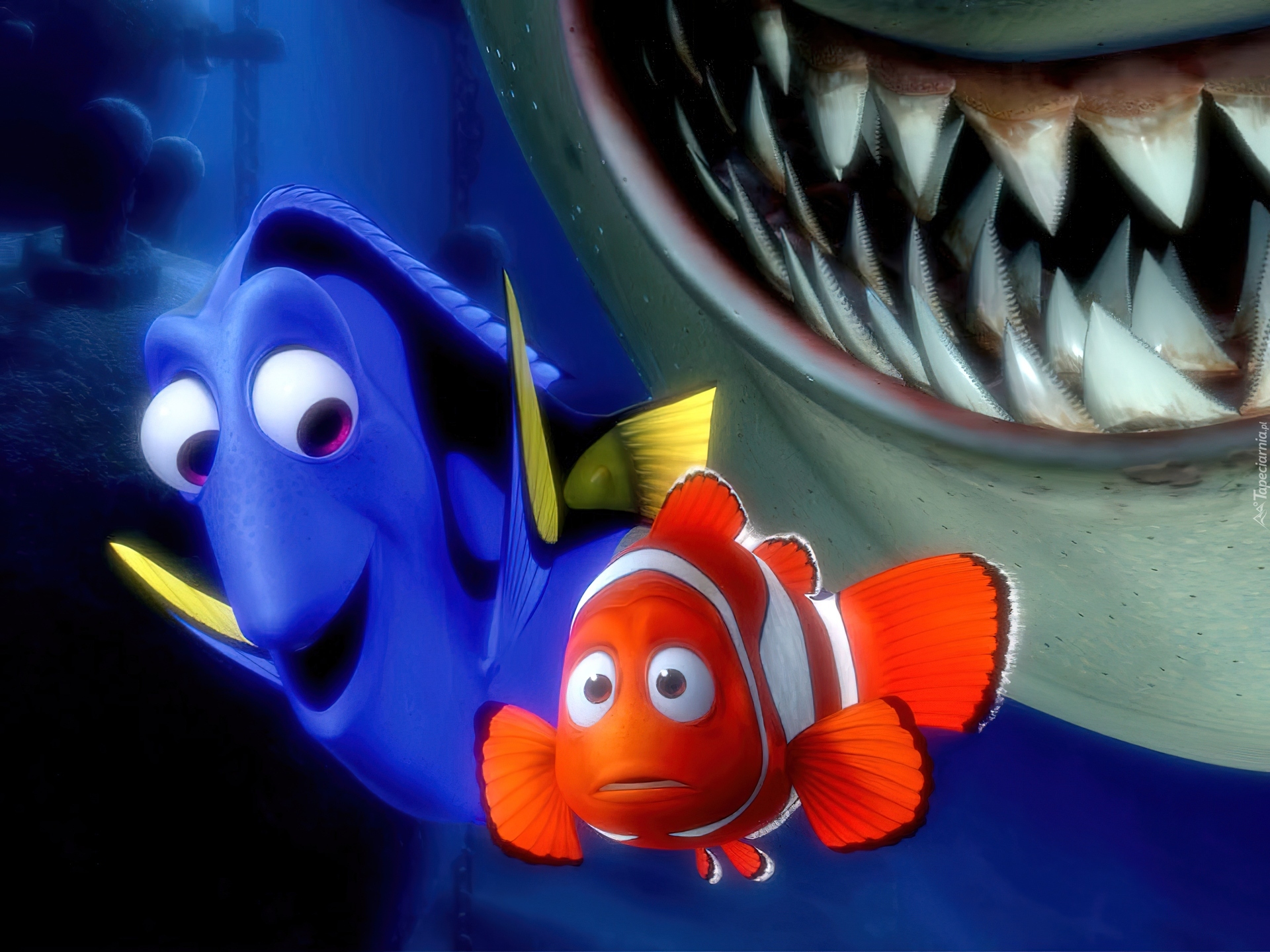 Gdzie jest Nemo, Finding Nemo, Bajka, Nemo, Rekin