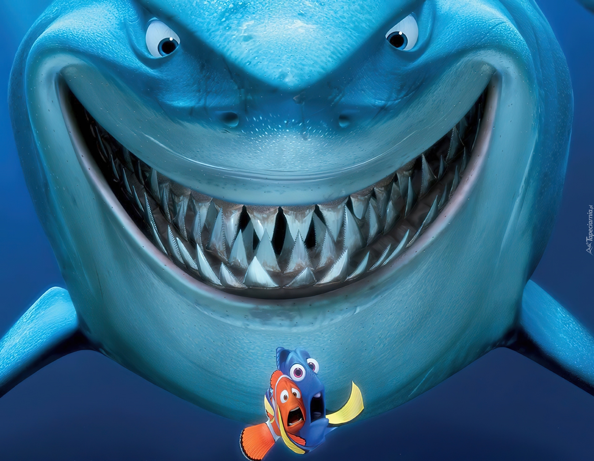 Gdzie jest Nemo, Finding Nemo, Rekin