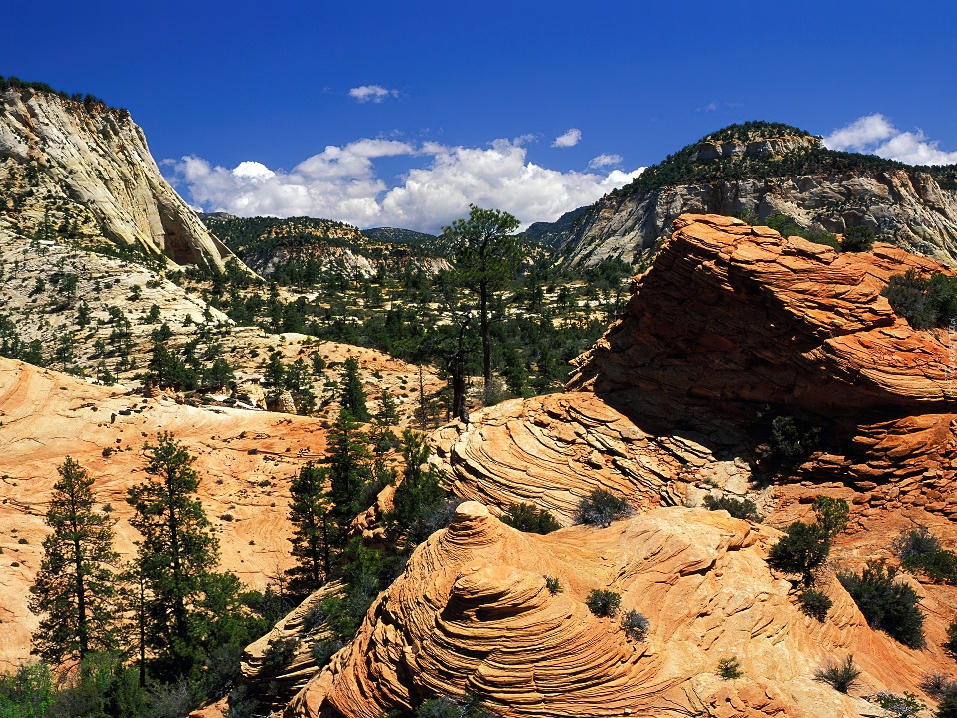 Park, Narodowy, USA, Wielki, Kanion, Colorado