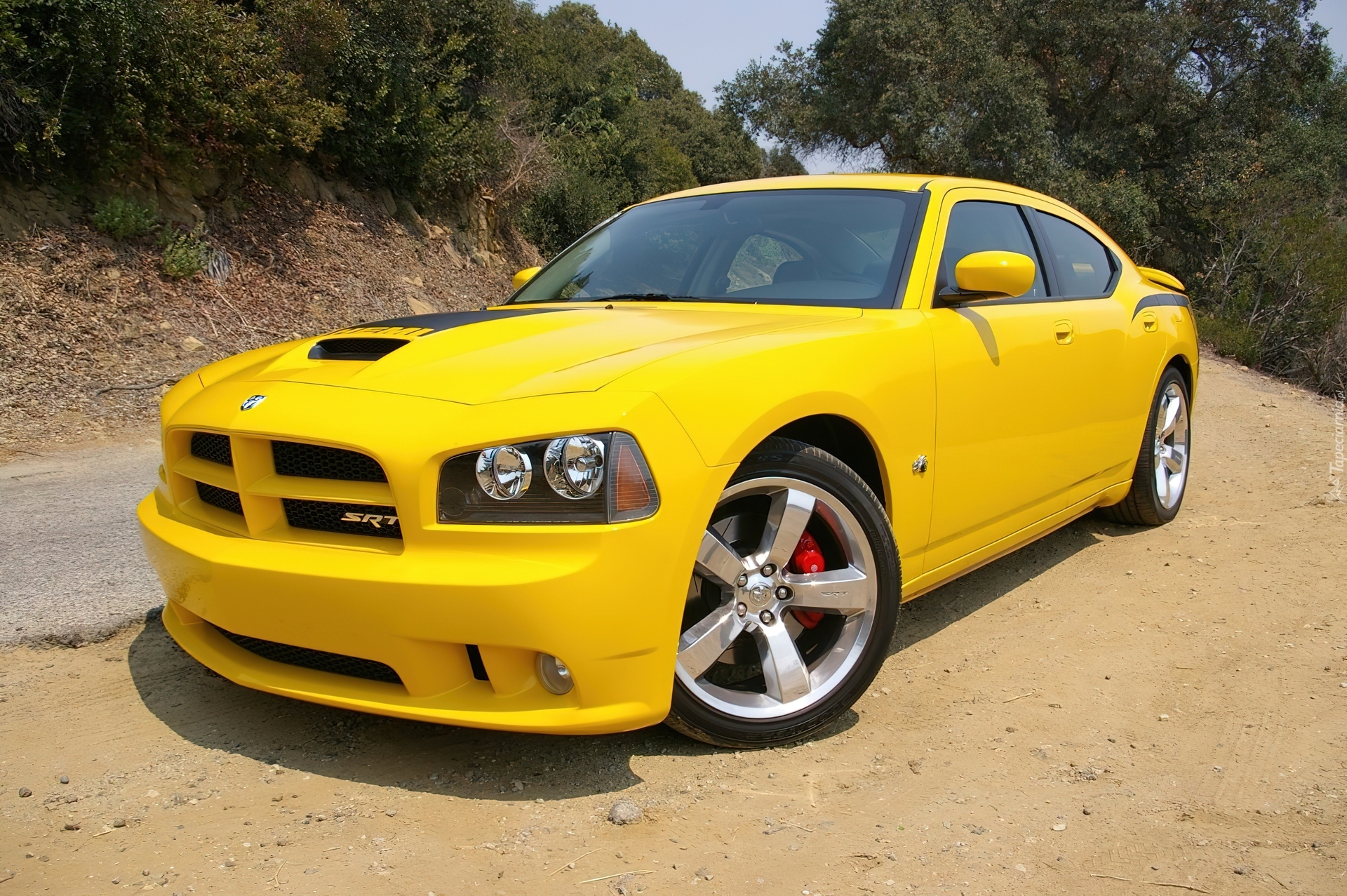 Dodge charger модель