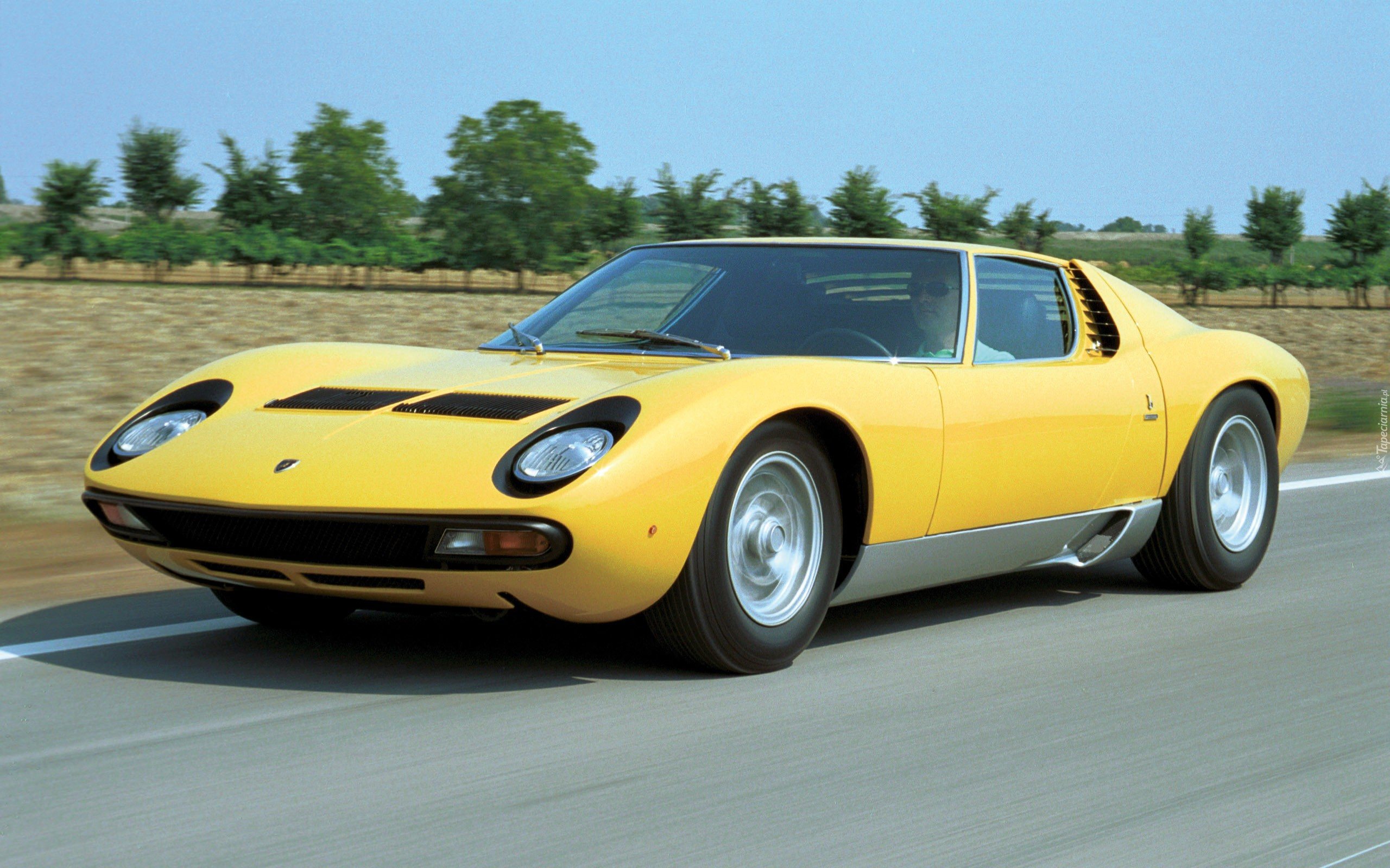 Lamborghini Miura, SV