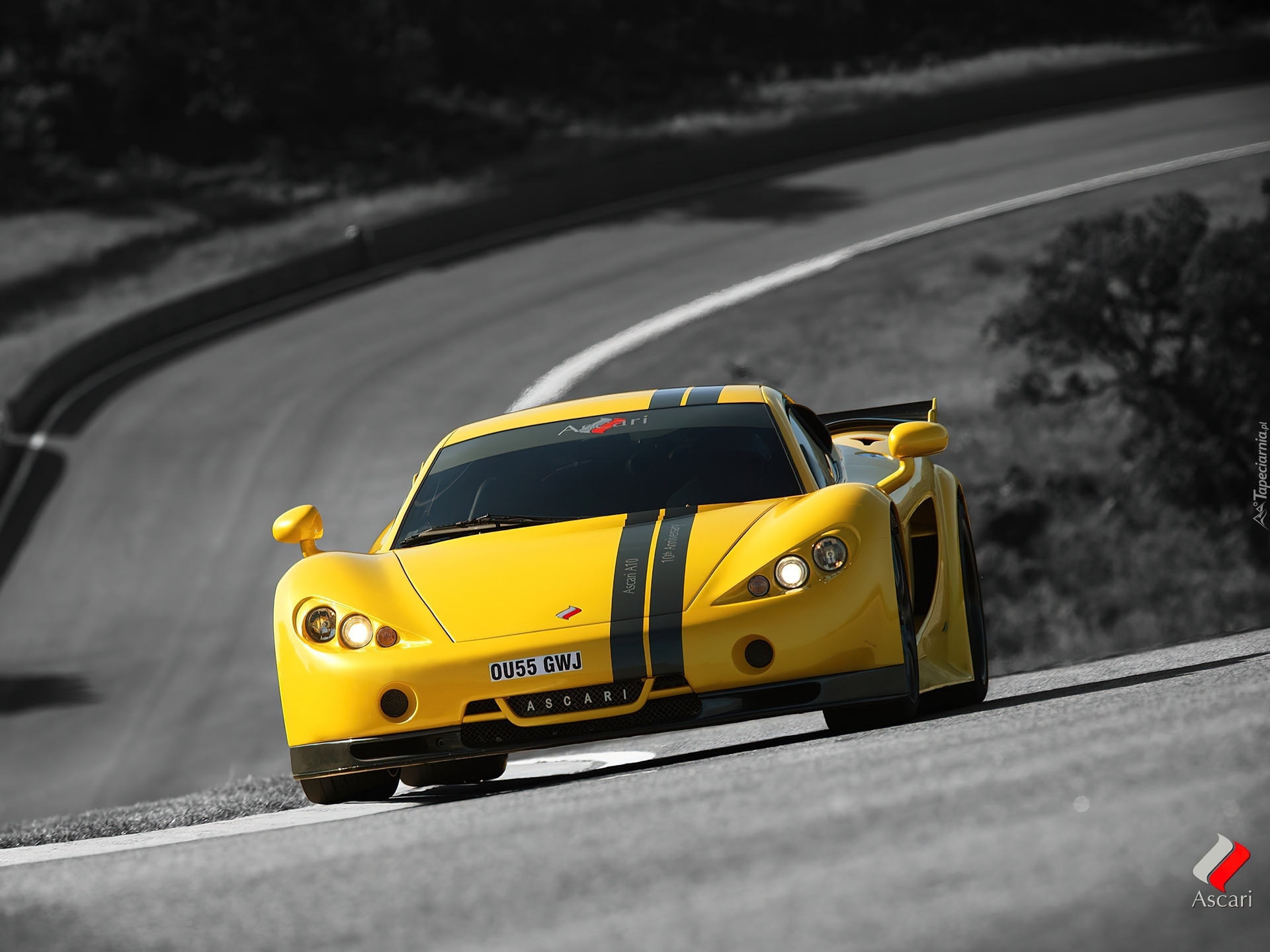 Ascari A10