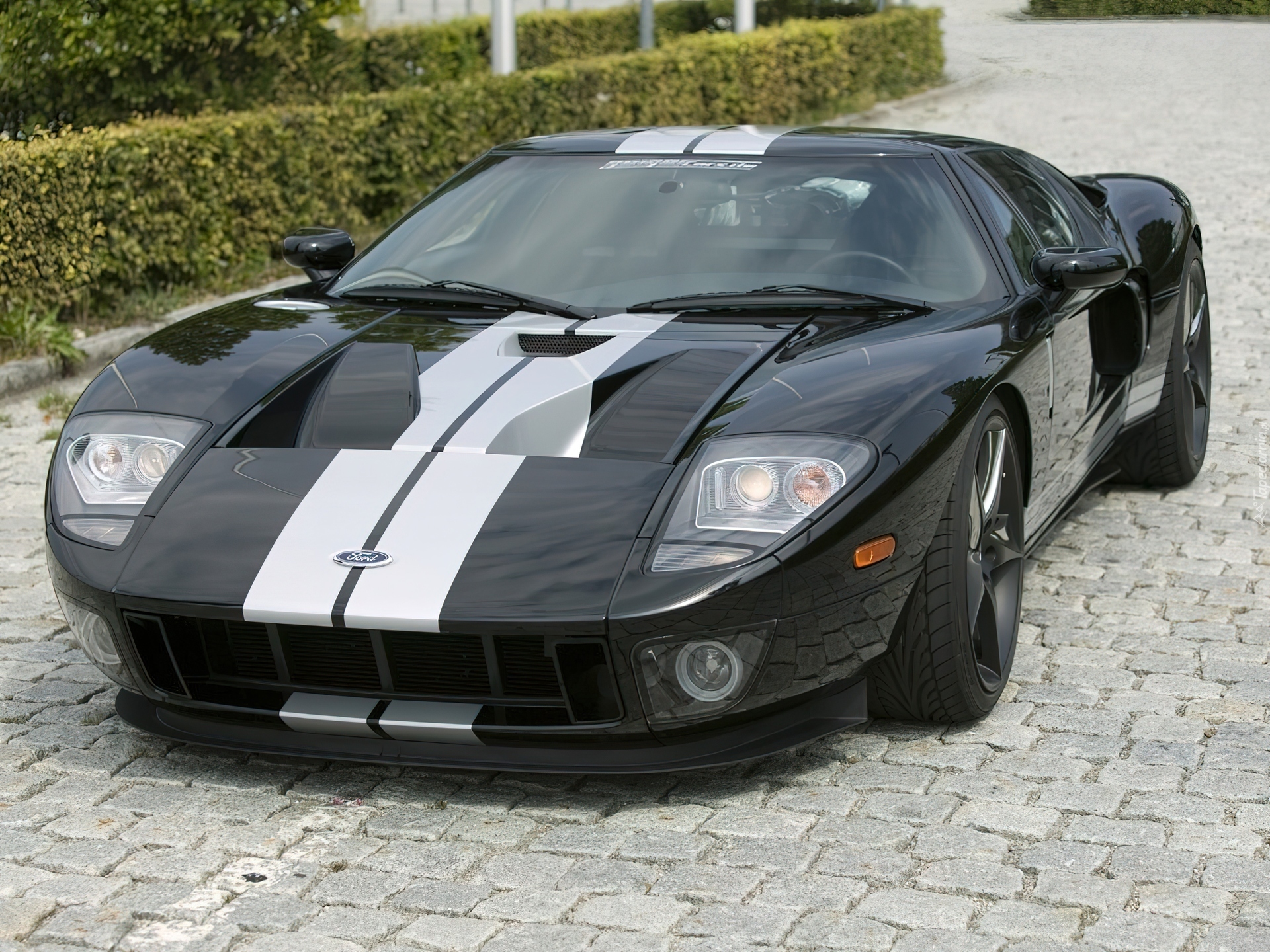 Ford GT, Sportowa, Linia, Nadwozia