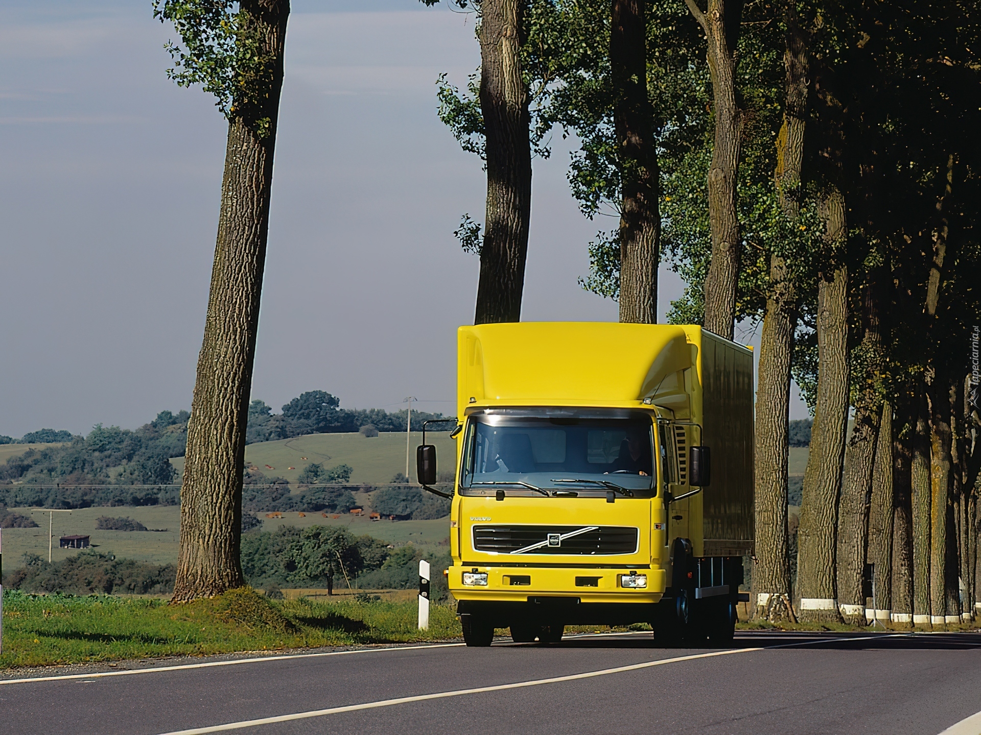 Ciężarówka Volvo, Dostawczy