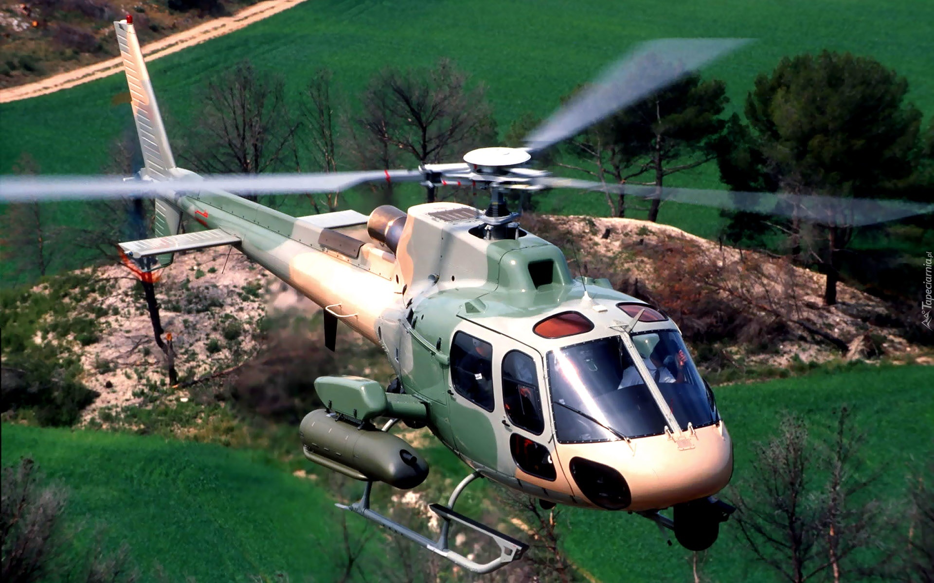 Eurocopter AS-550 Fennec