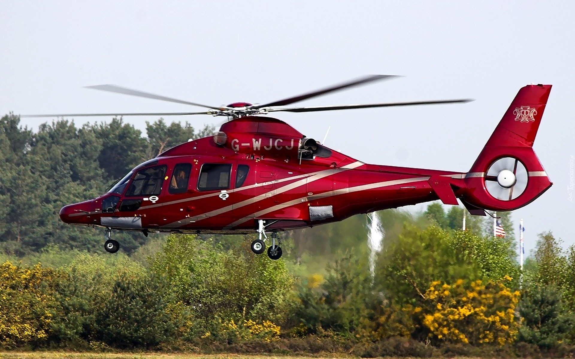 Eurocopter EC-155 B1