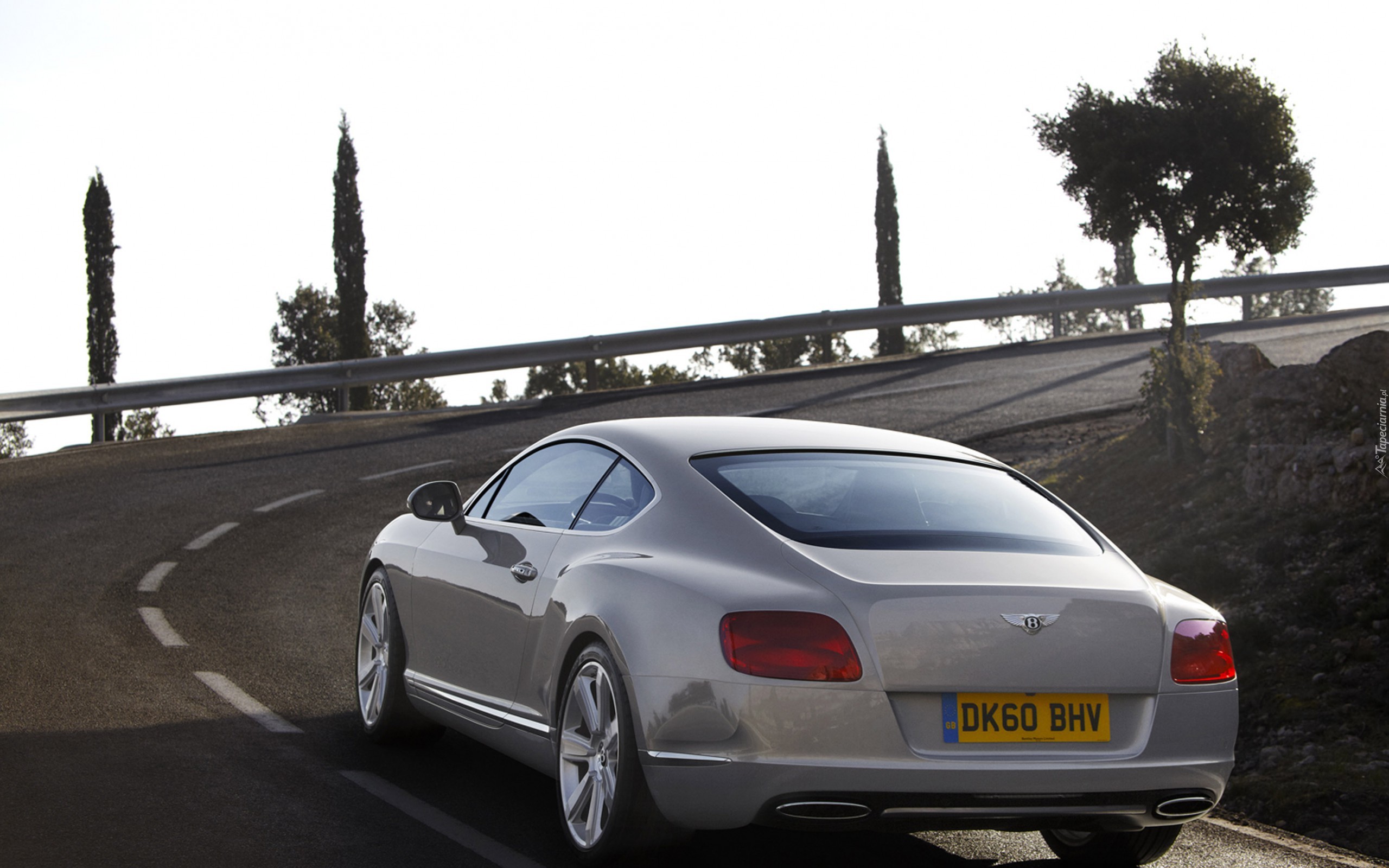 Tył, Bentley Continental GT, Rury, Wydechowe