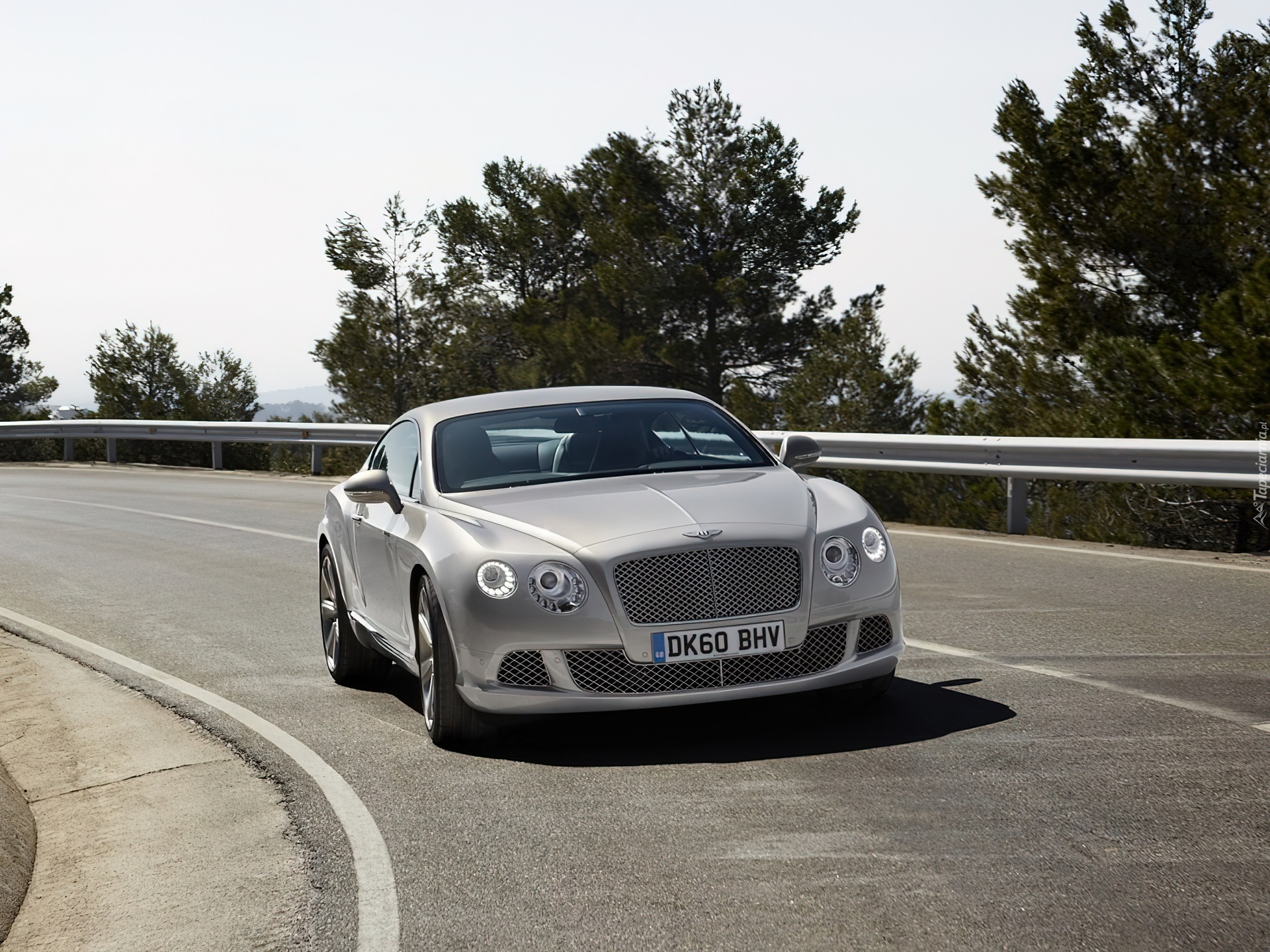 Bentley Continental GT, Profilowana, Maska