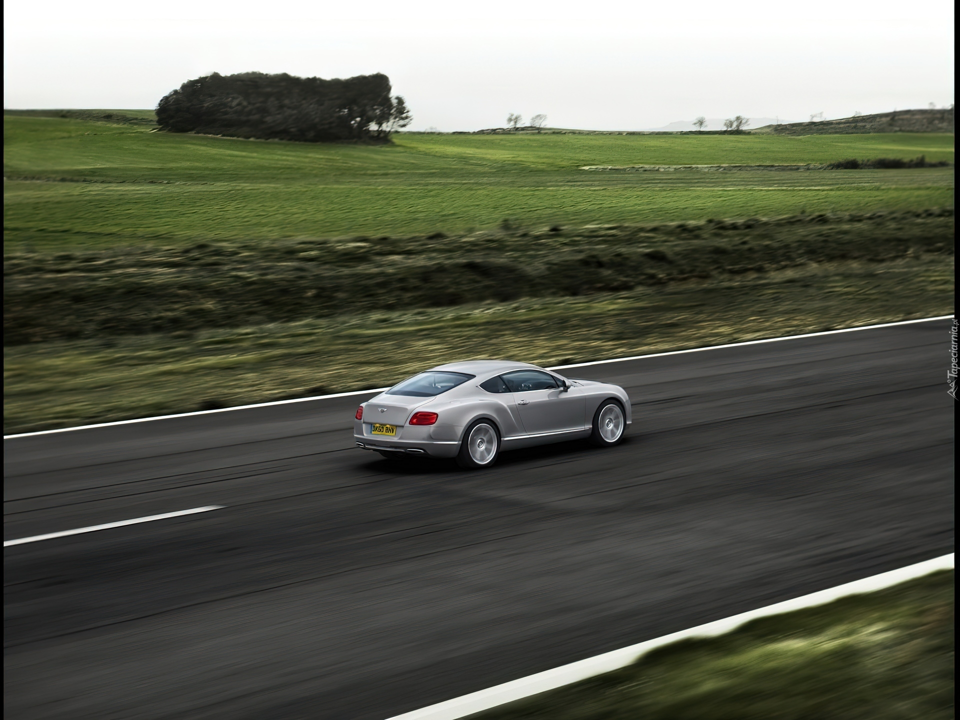 Bentley Continental GT, Duże, Coupe