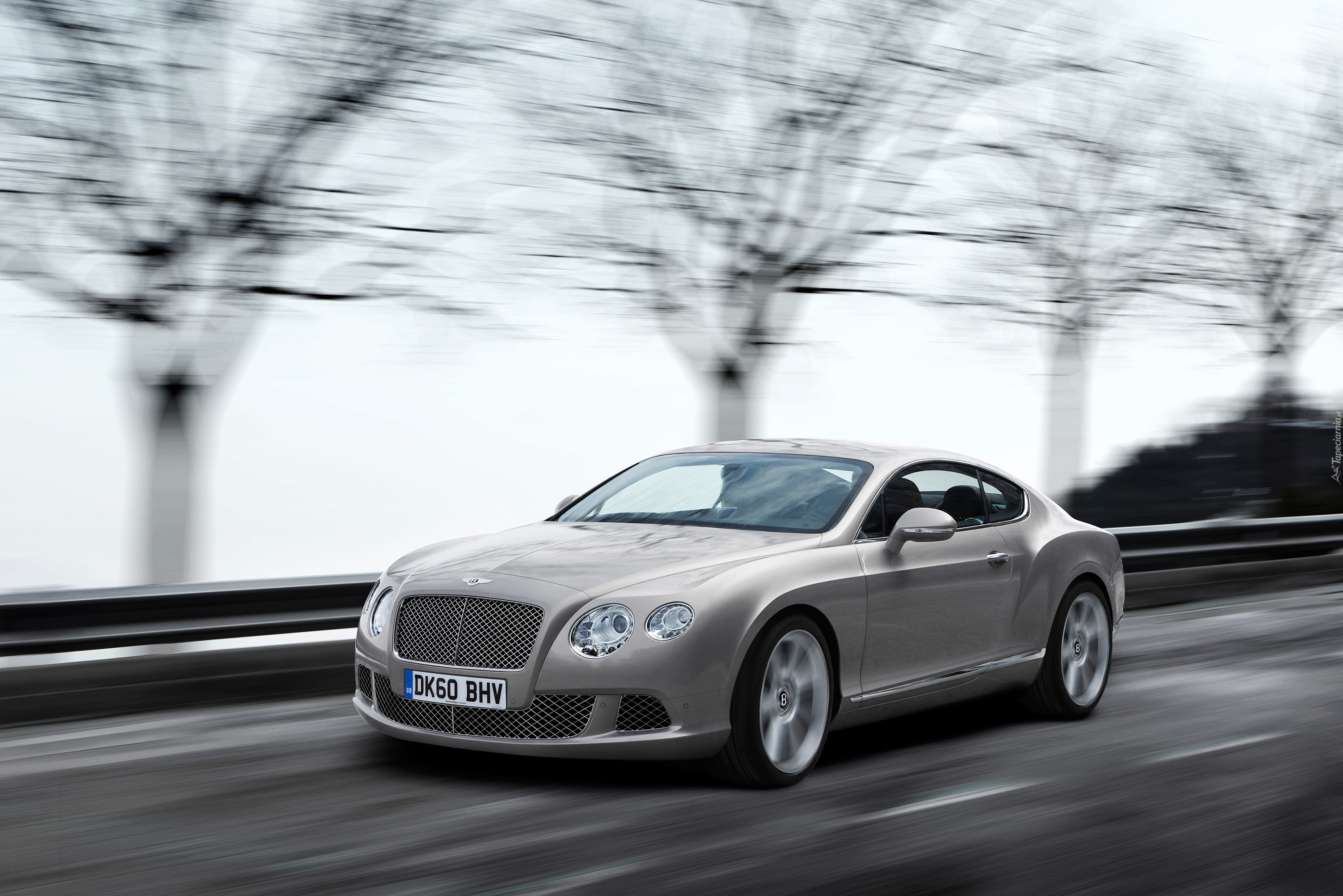 Bentley Continental GT, Sportowy, Samochód