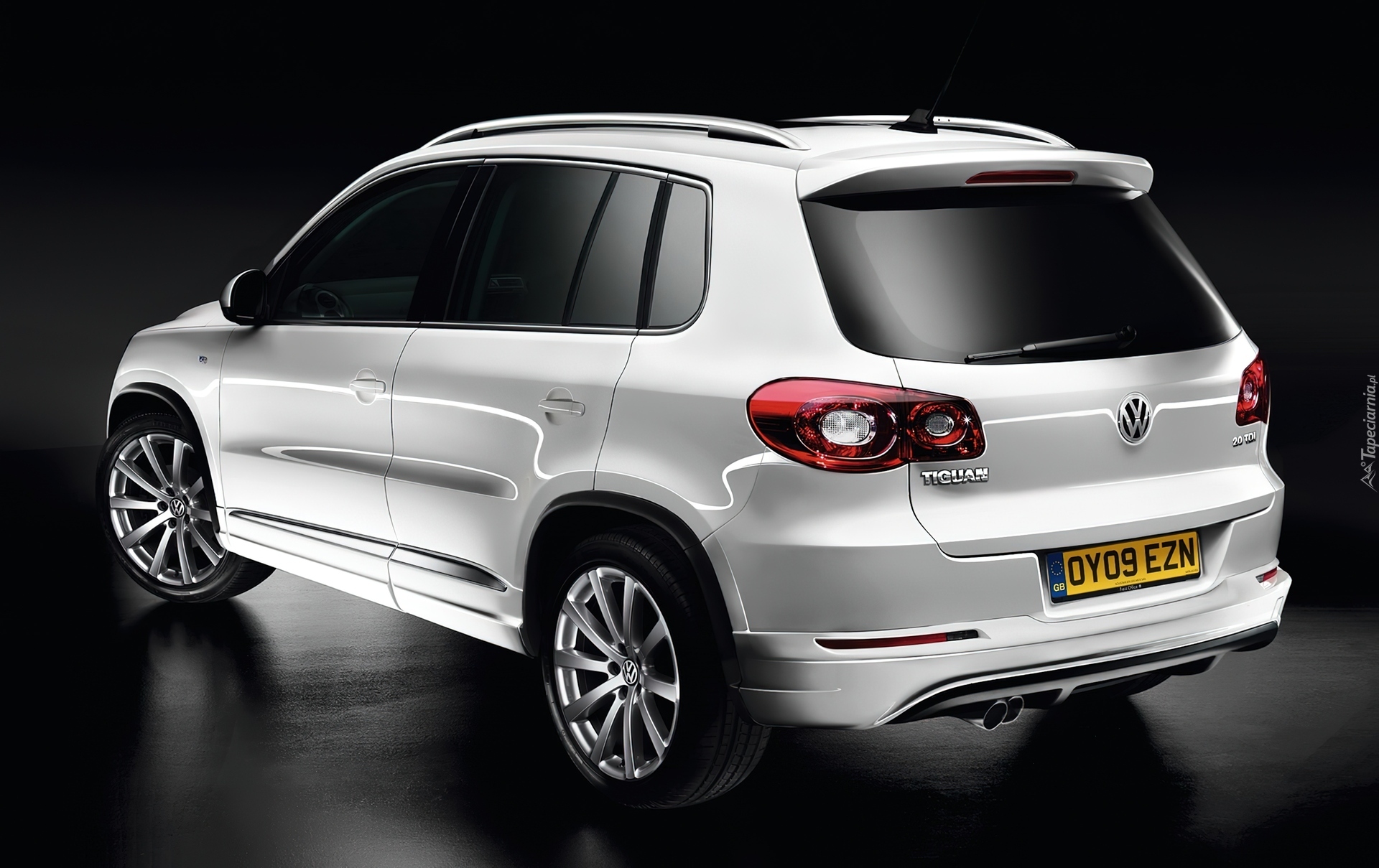 Volkswagen Tiguan, Relingi, Dachowe