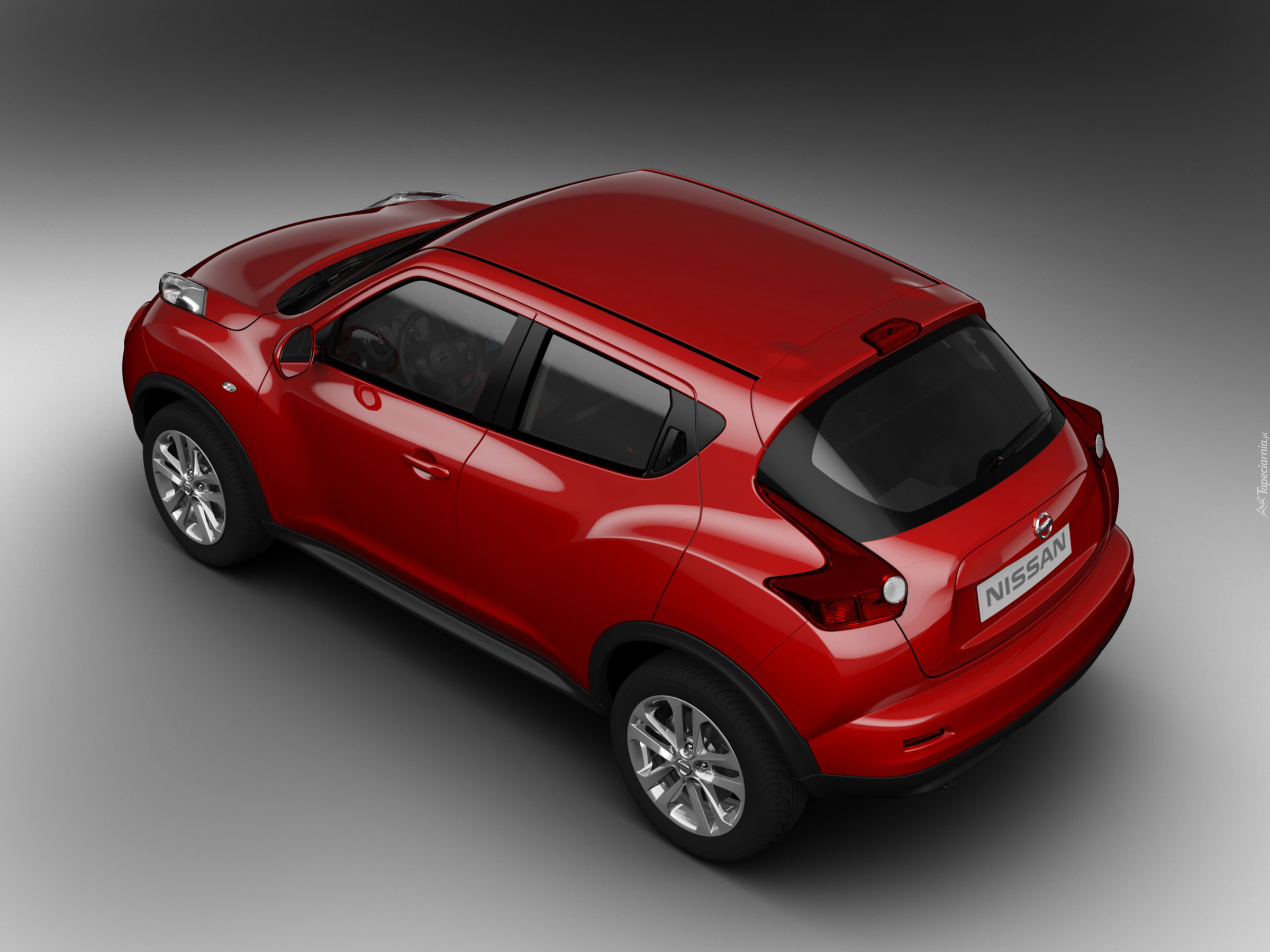 Nissan Juke, Dach