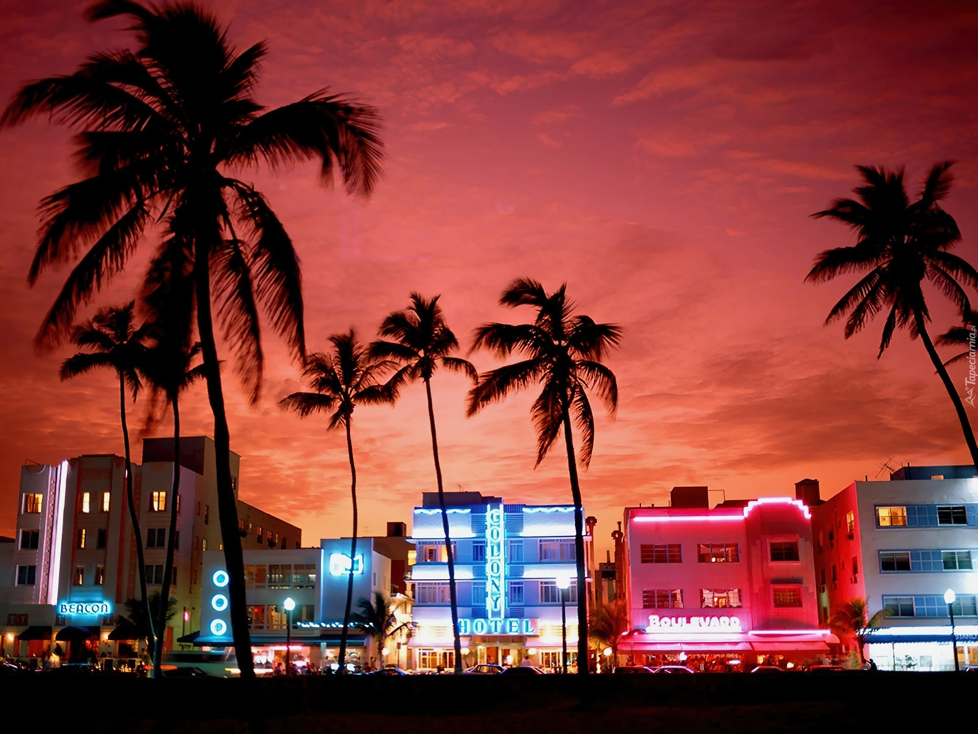 Floryda, Miami, Hotele, Neony