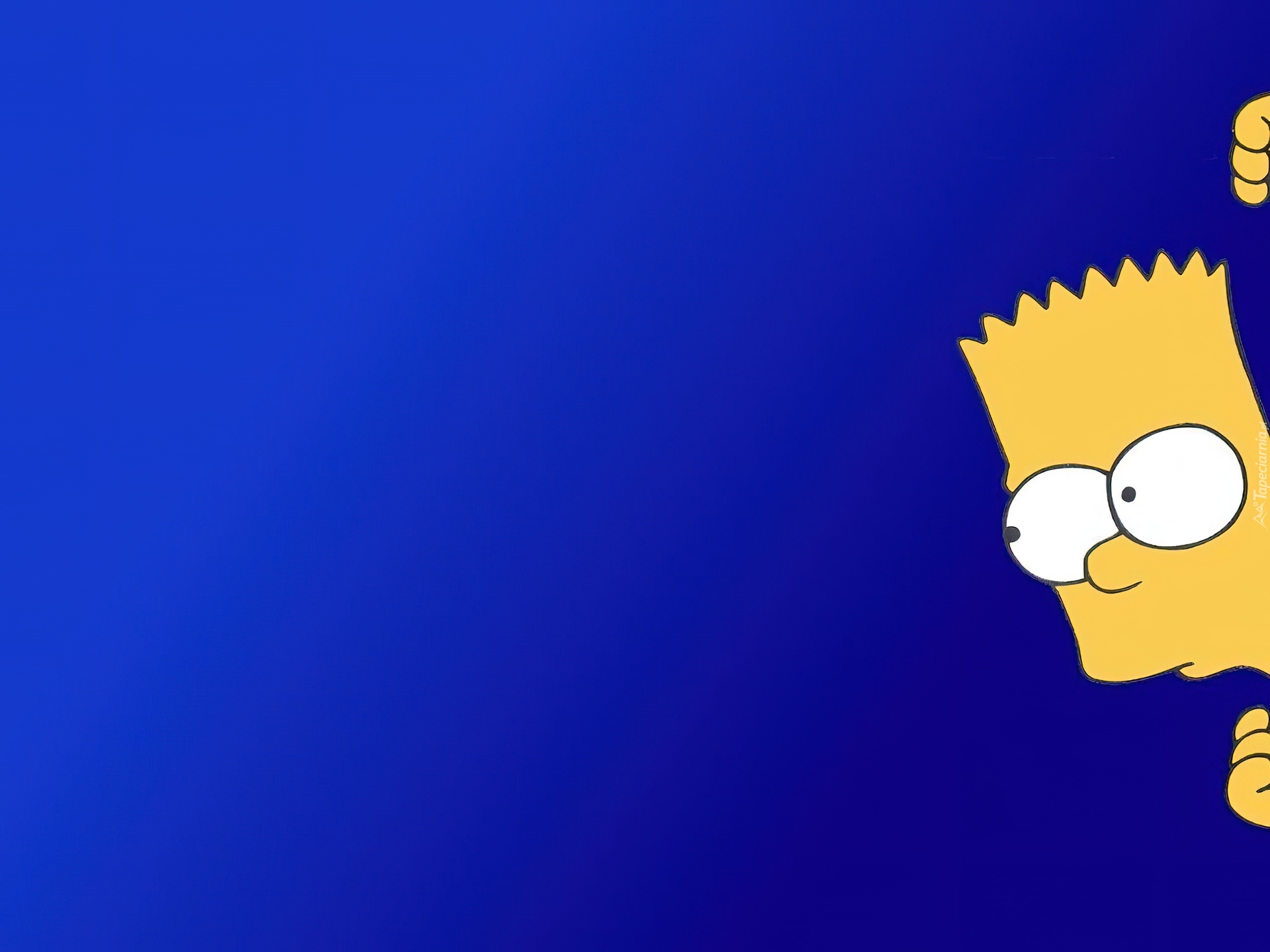 Bart Simpson, Simpsonowie, The Simpsons