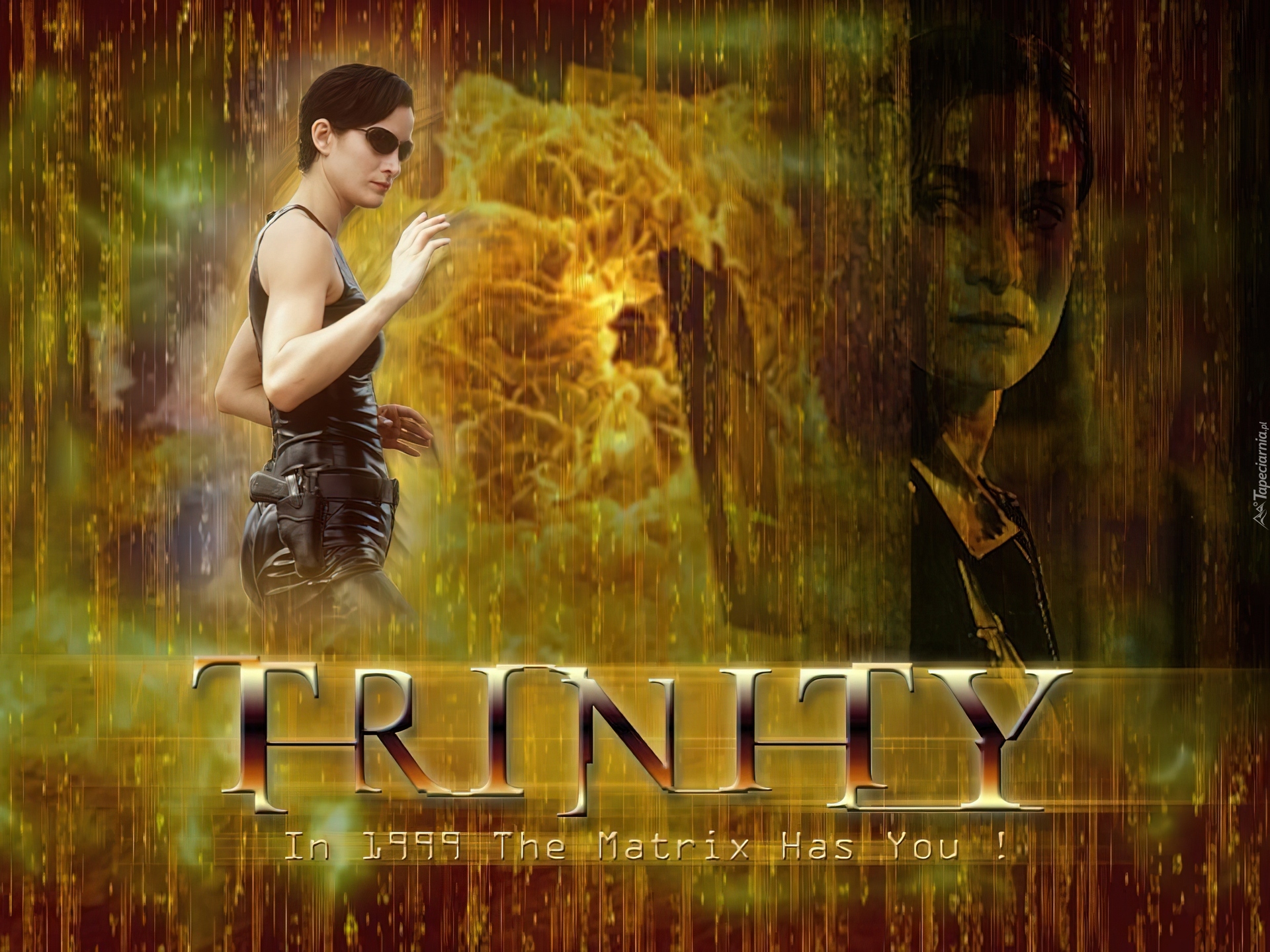 Matrix, Trinity