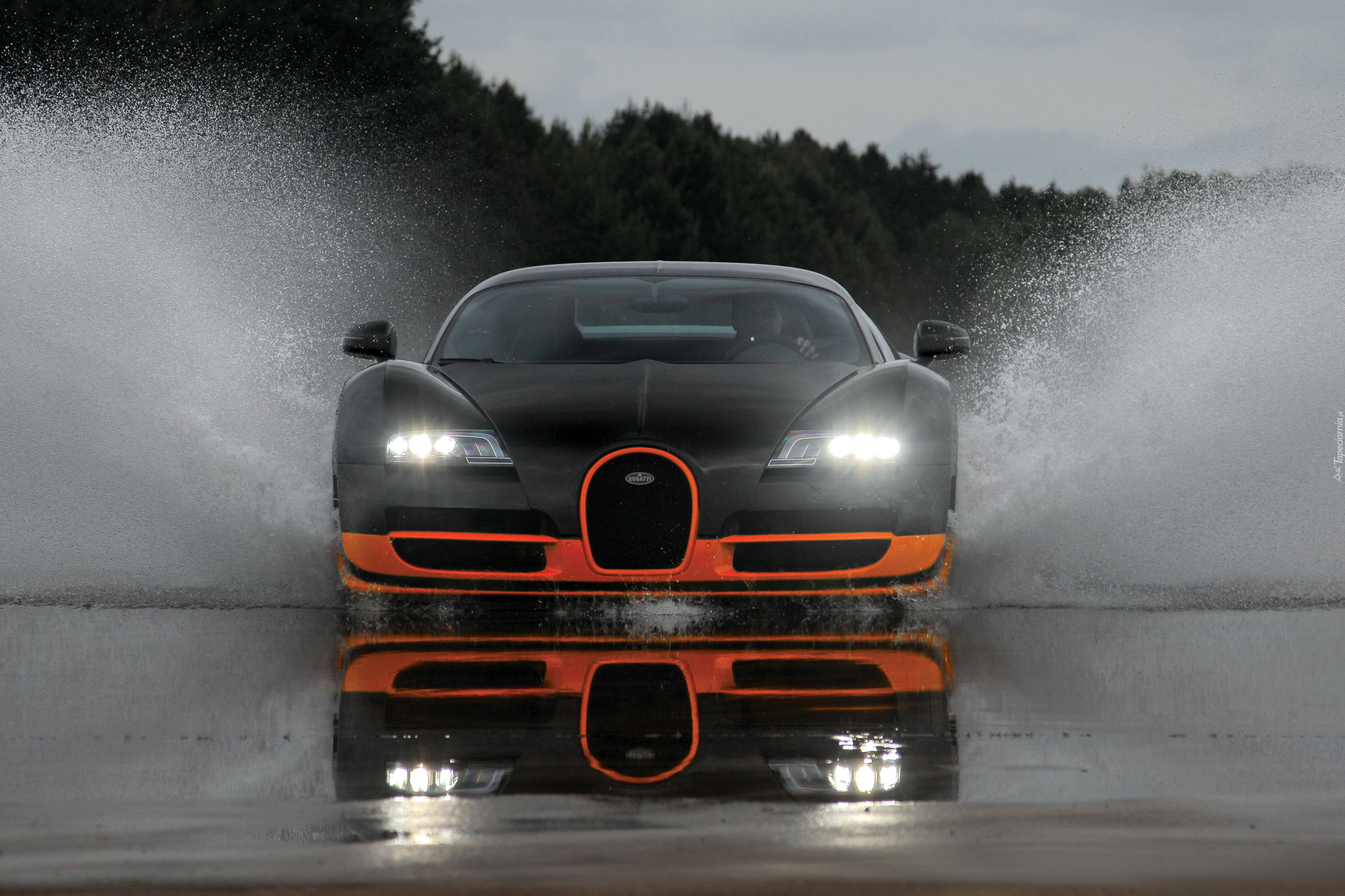 Bugatti Veyron Super Sport, Test, Woda