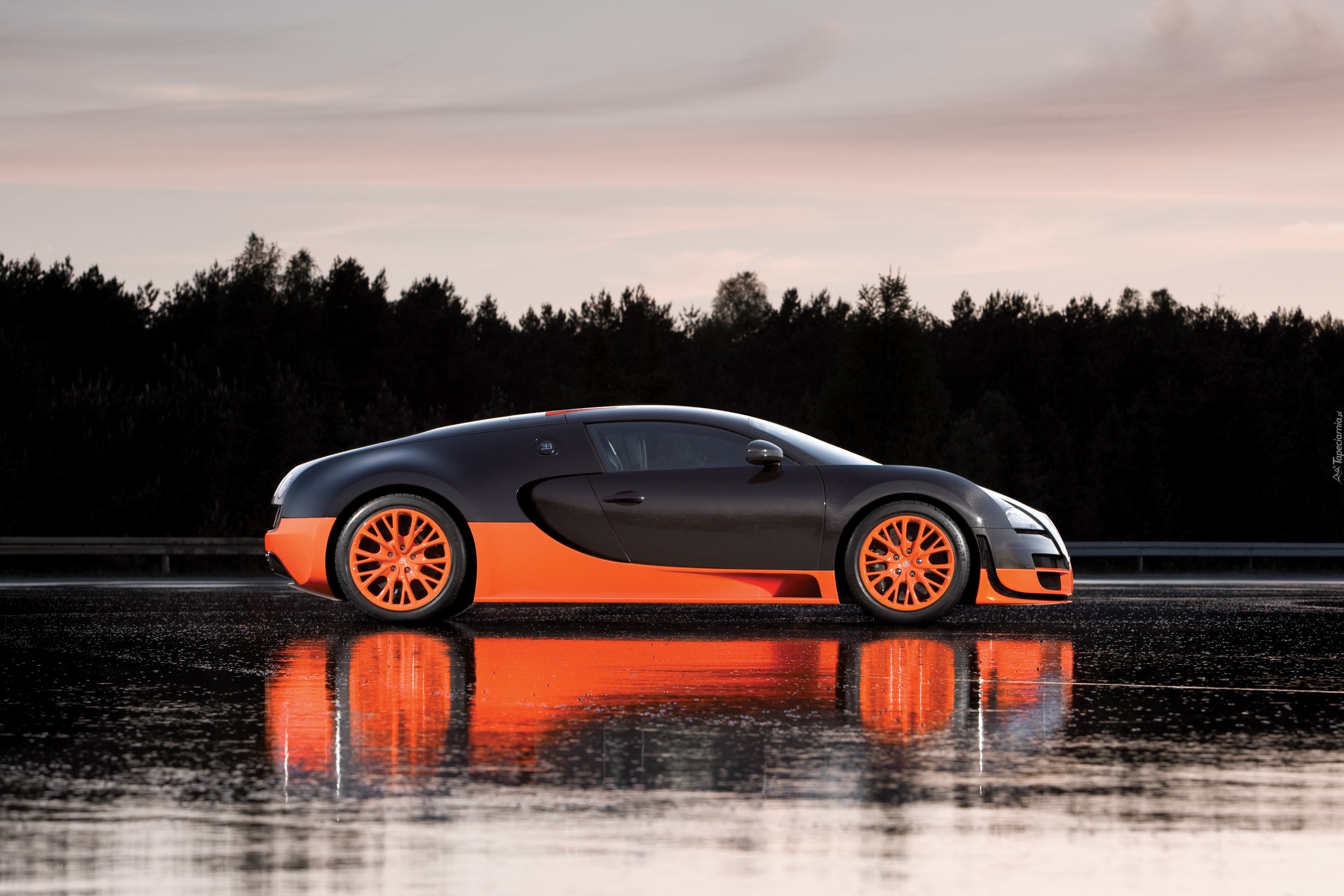 Bugatti Veyron, Wersja, 16.4 Super Sport