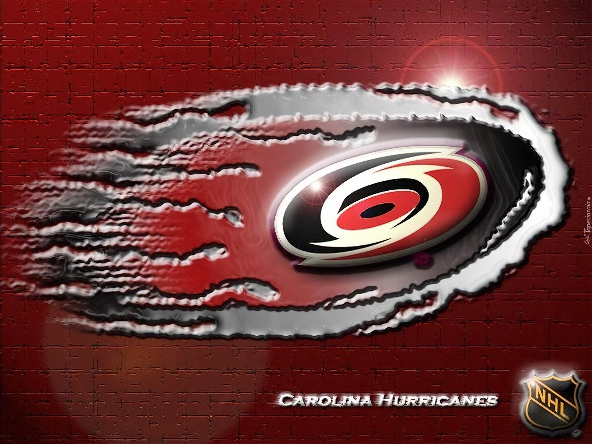 Logo, Drużyny, Hokejowej, NHL, Carolina Hurricanes