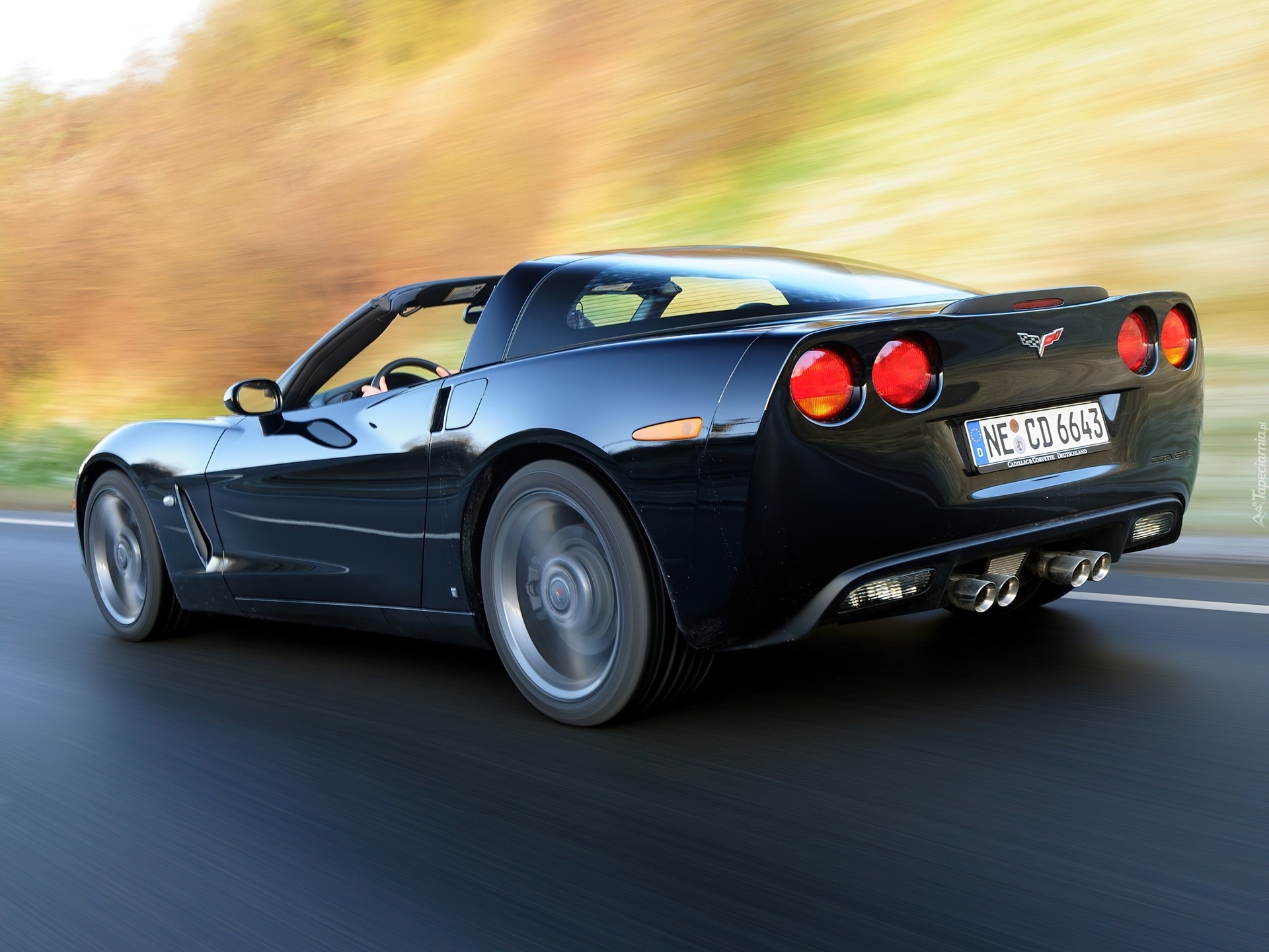 Chevrolet Corvette C6, Targa