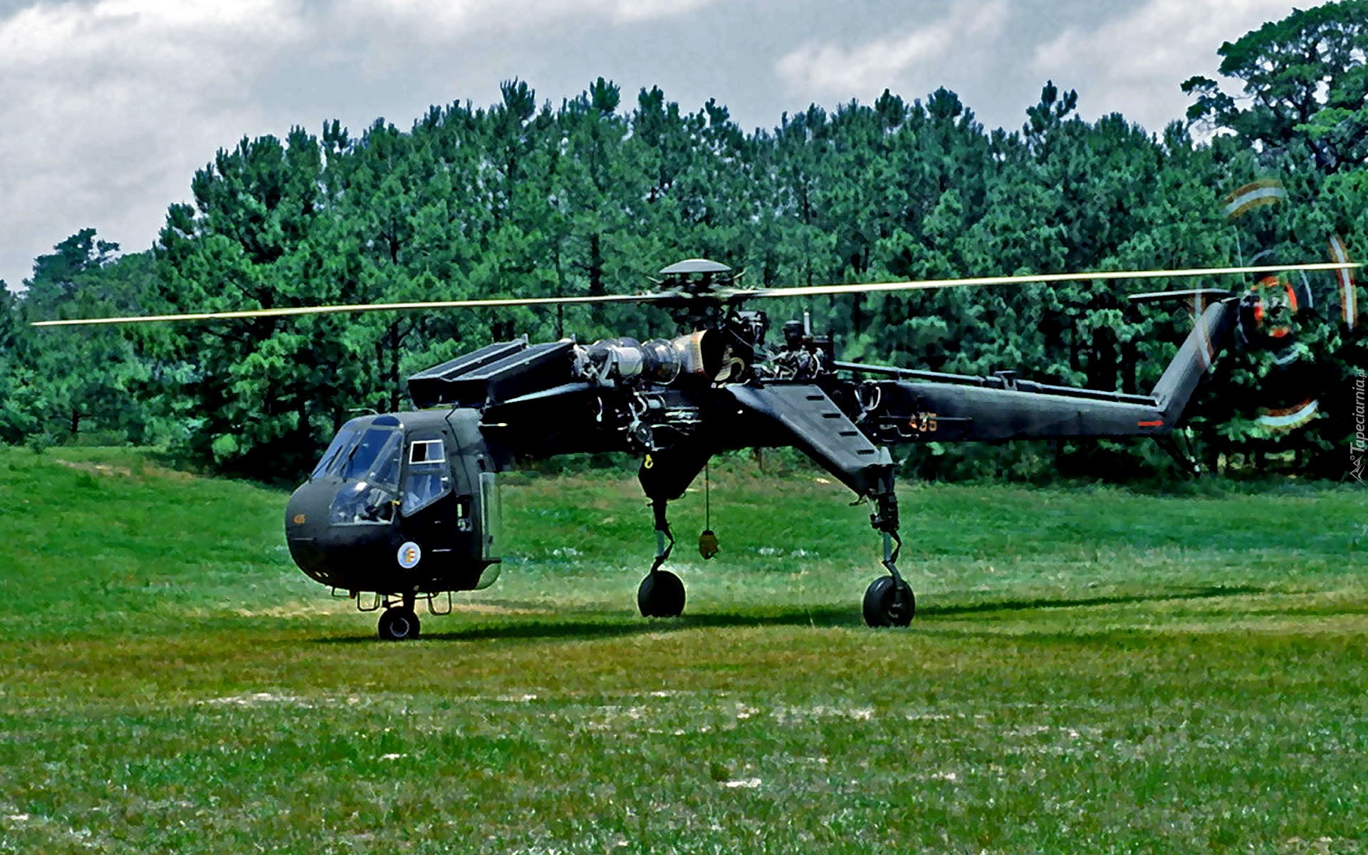 Sikorsky CH-54 Tarhe, Transportowy, Helikopter