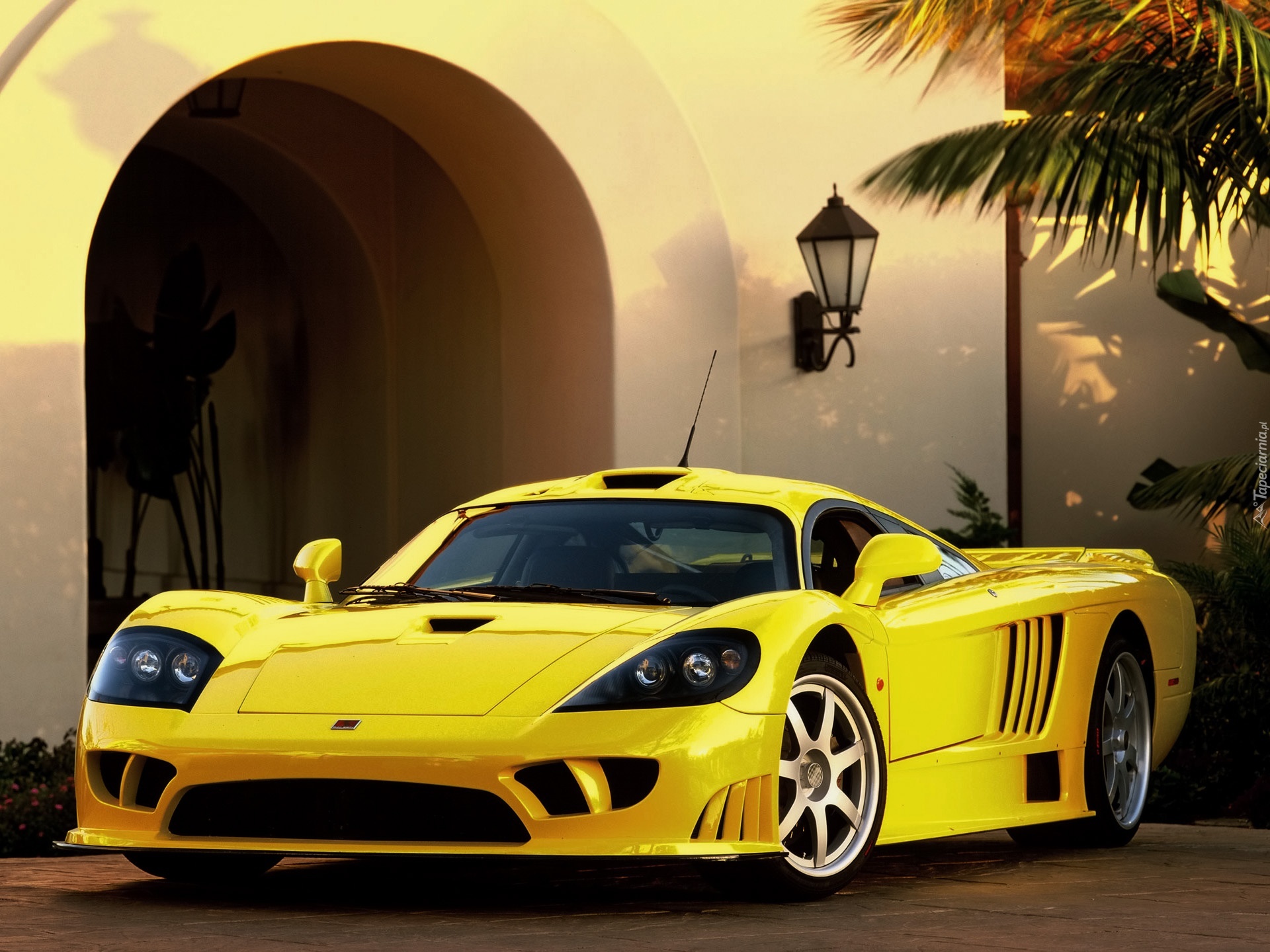 Żółty, Saleen S7, Sportowa, Linia, Nadwozia