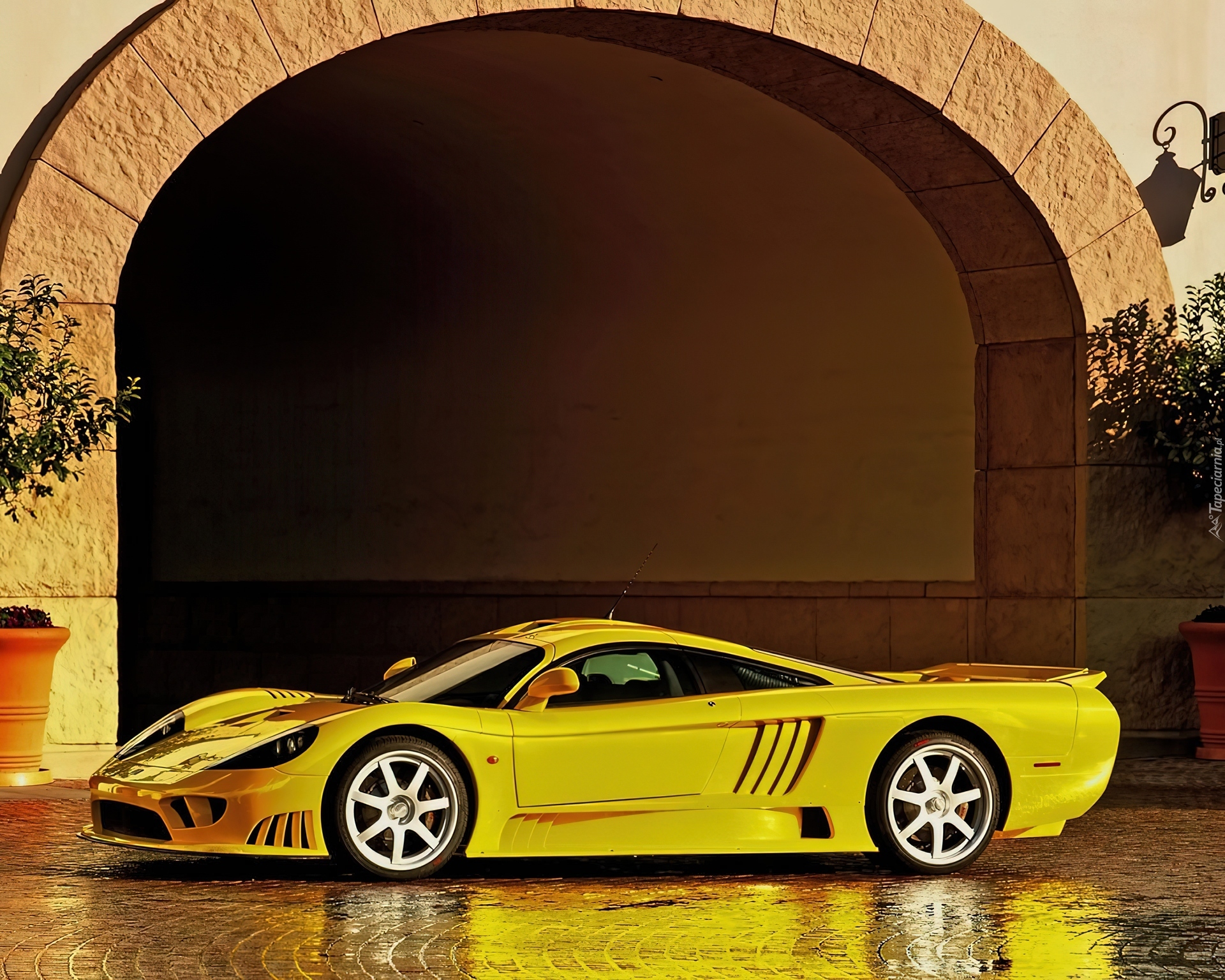 Saleen S7, Boczne, Wloty, Powietrza