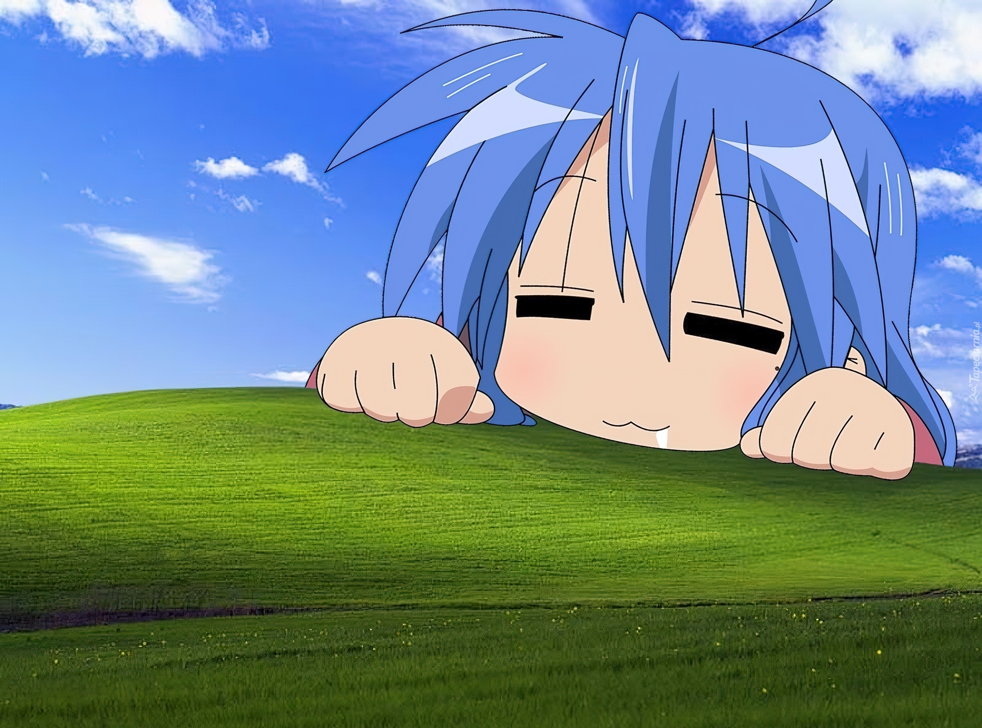 Konata, Lucky Star, Windows