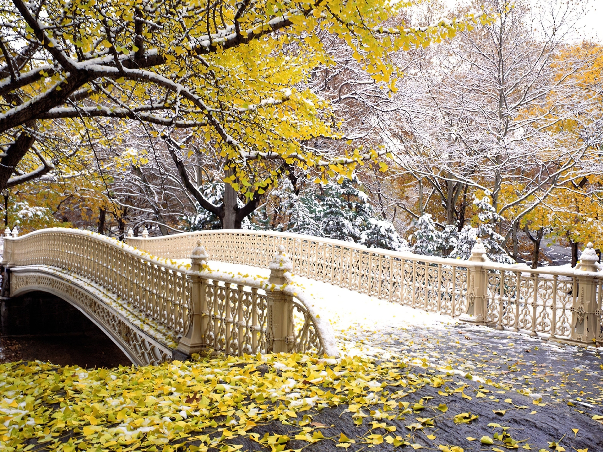 Central Park, Nowy York, Jesień