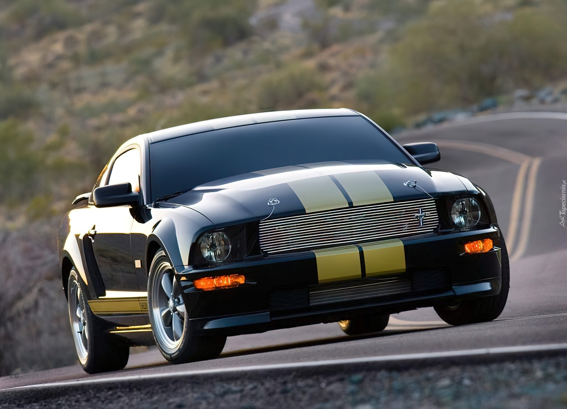 Ford Mustang Shelby