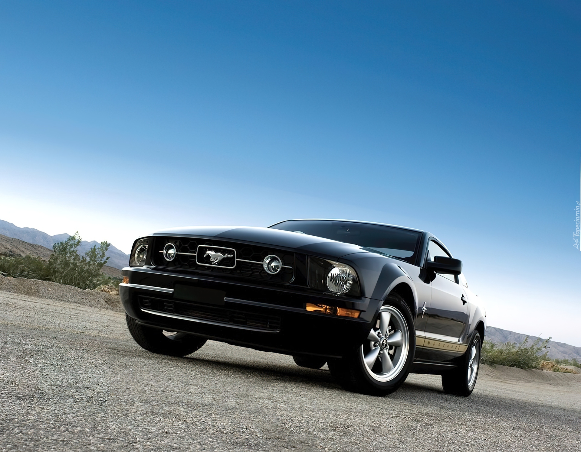 Ford Mustang V6, Pony, Package