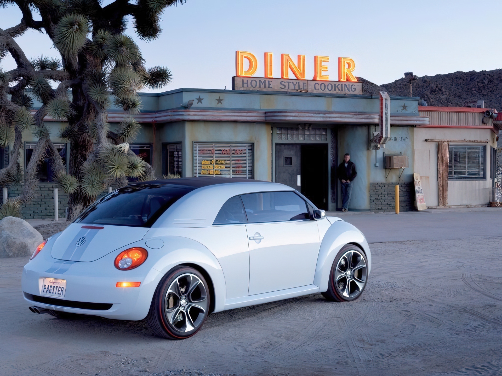 Volkswagen New Beetle