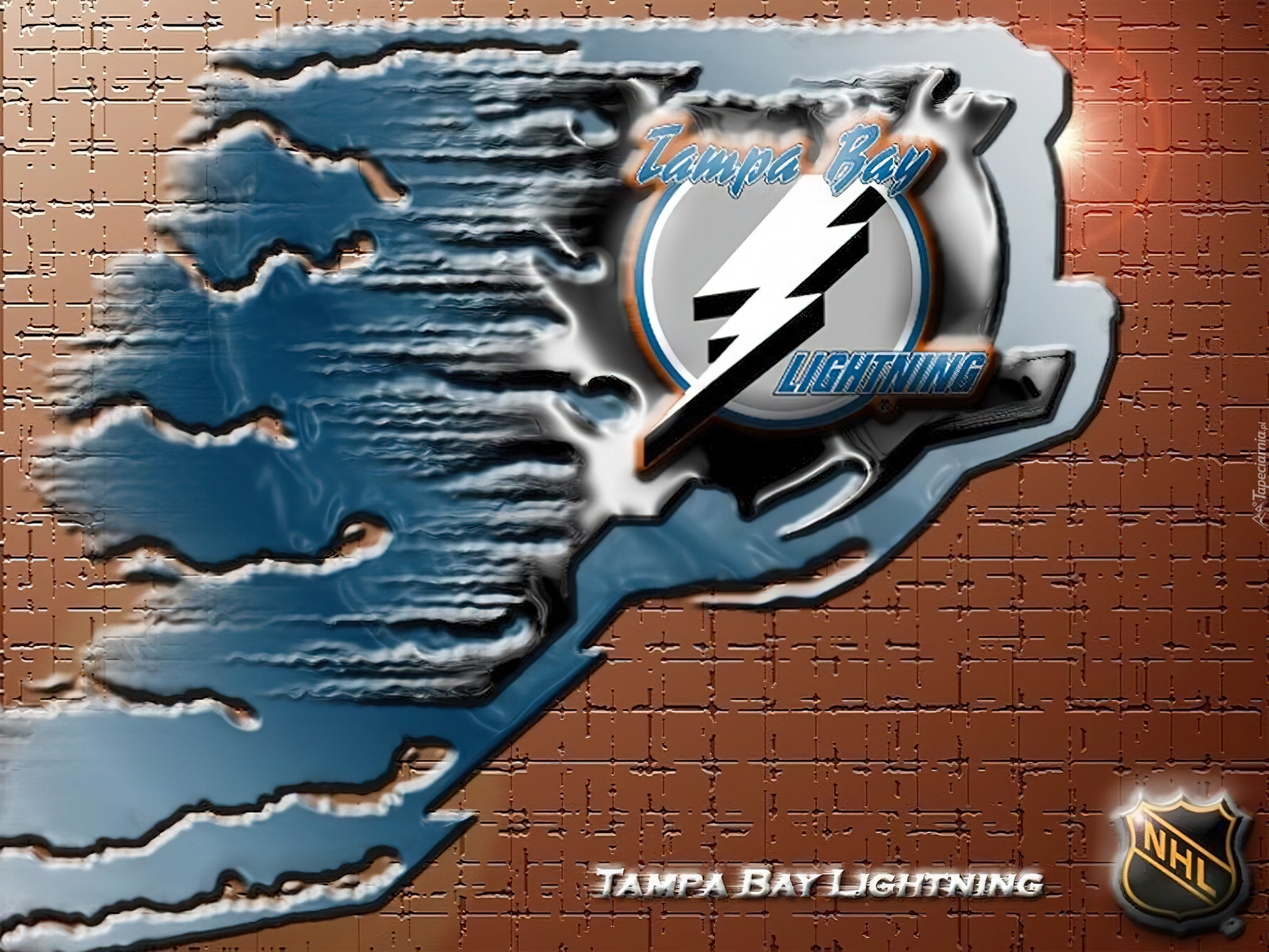 Tampa Gfe