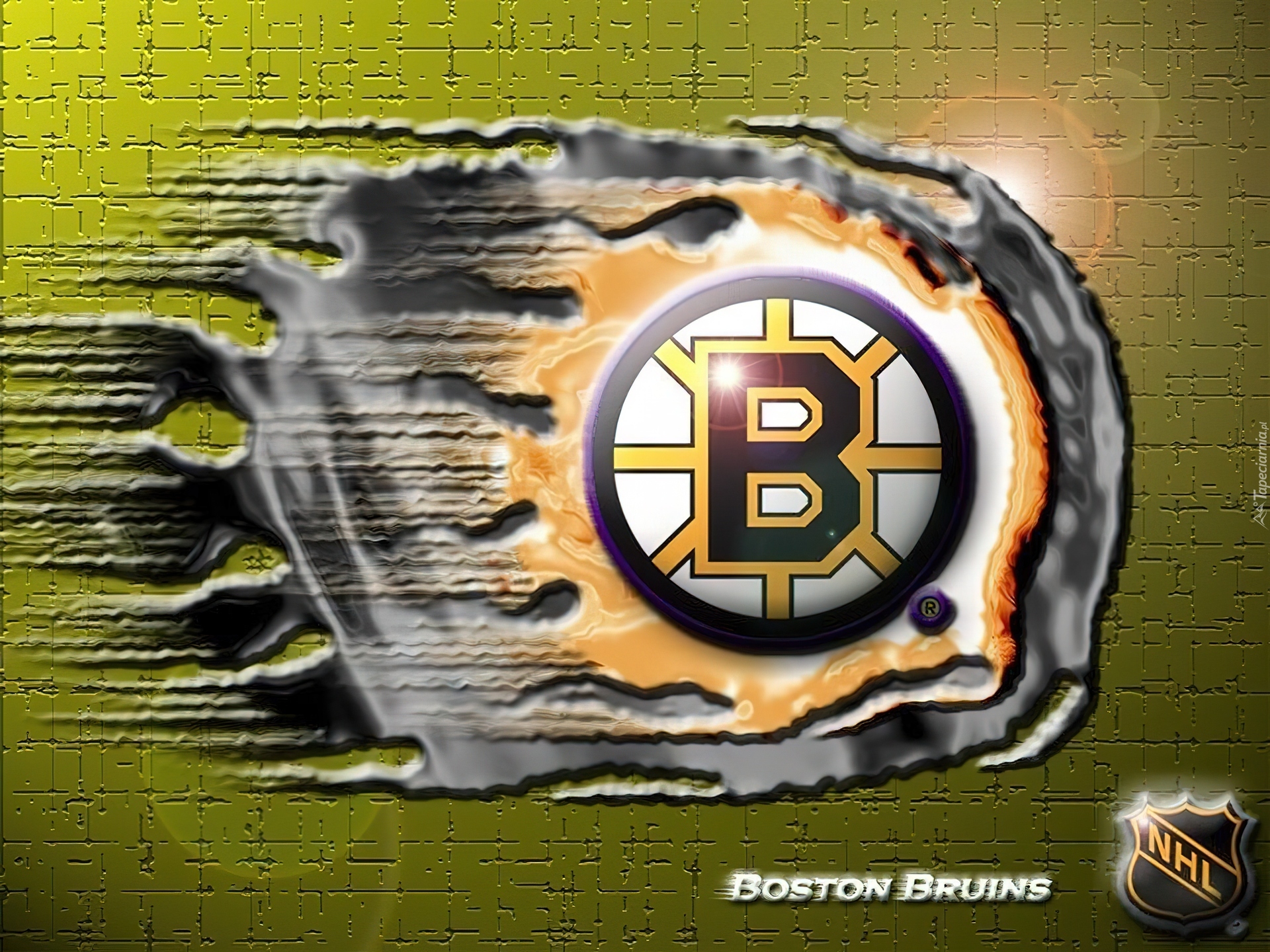 Logo, Drużyny, NHL, Boston Bruins