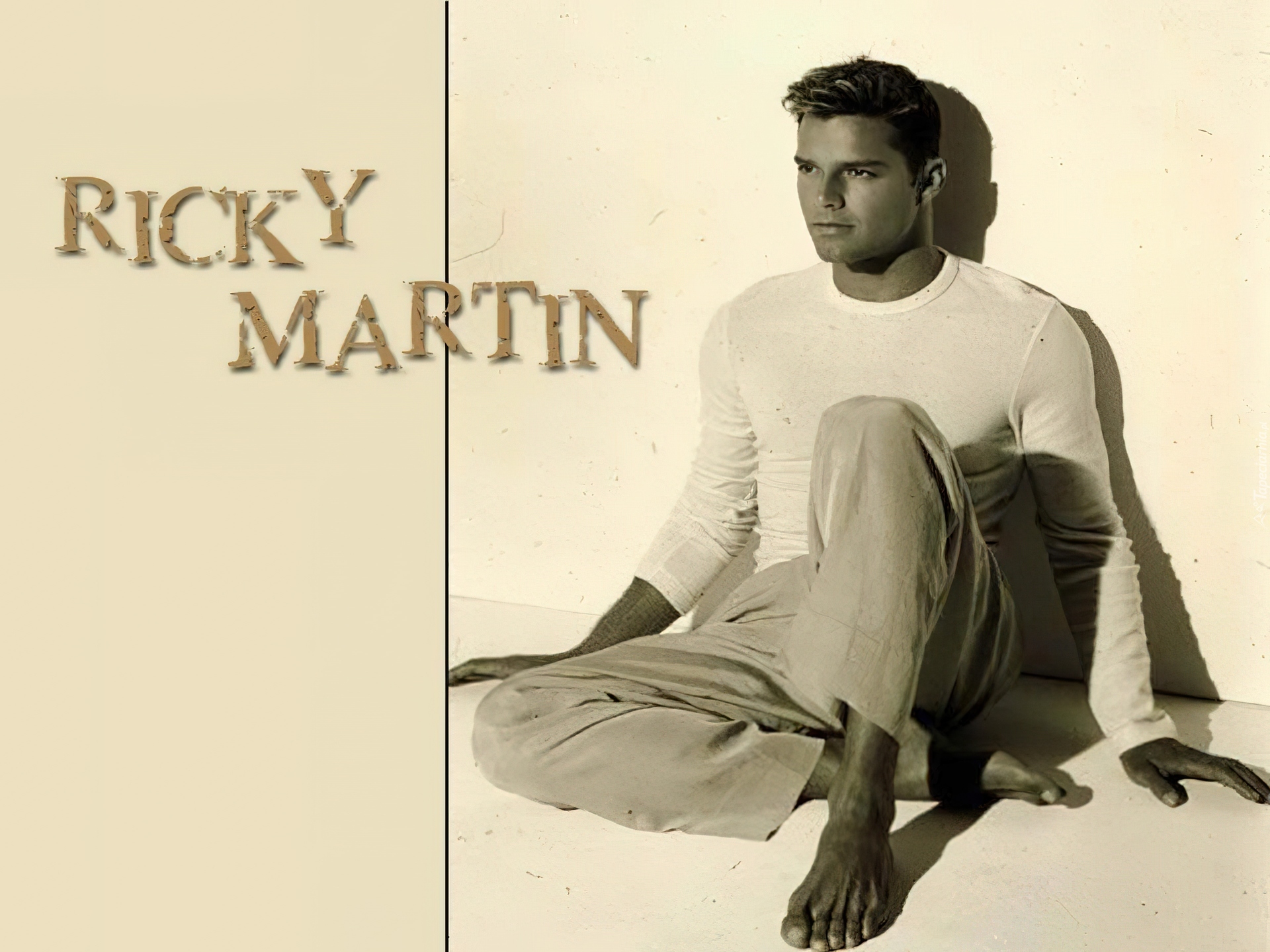 Piosenkarz, Ricky Martin