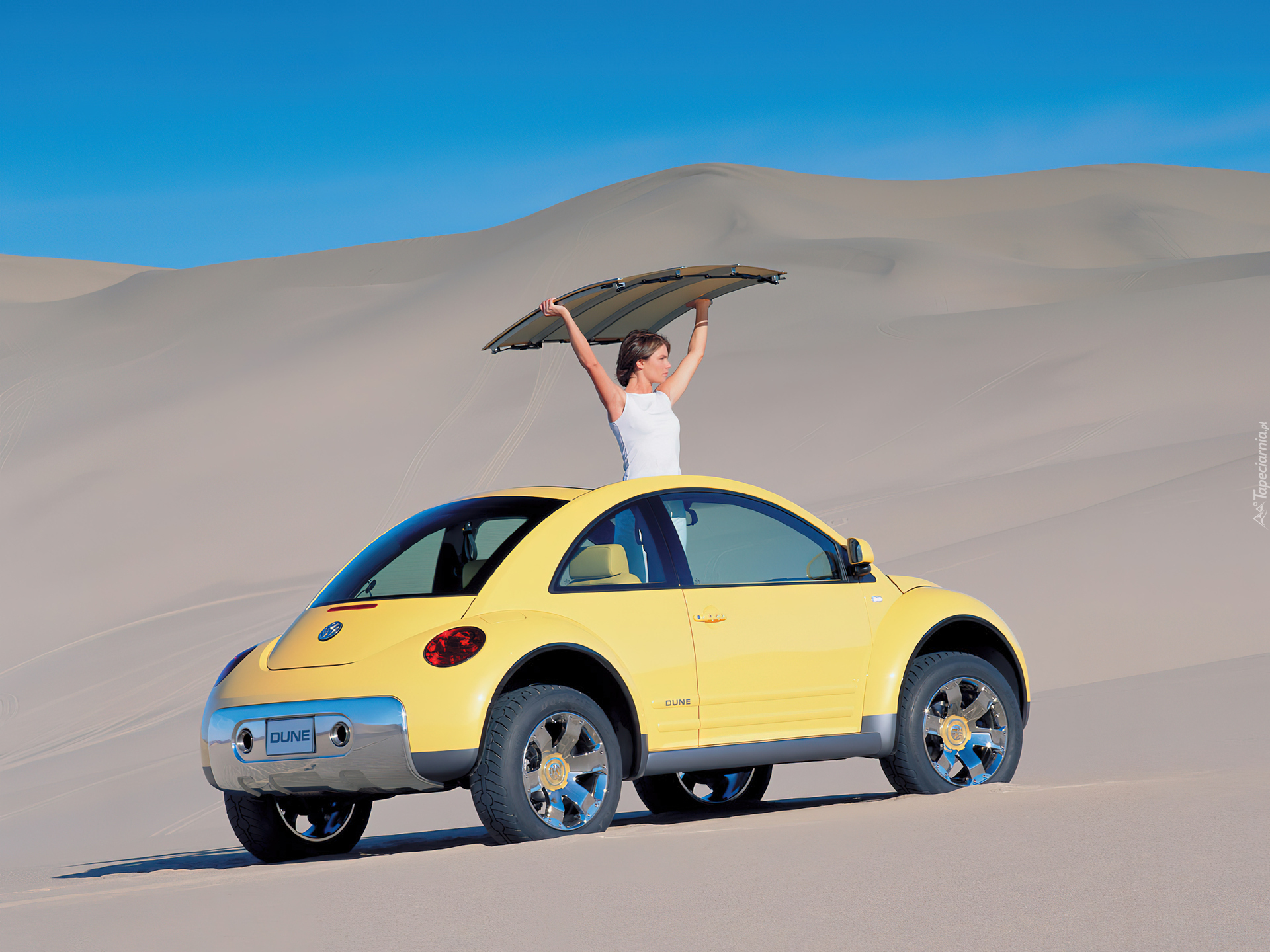 Volkswagen New Beetle, Pustynia