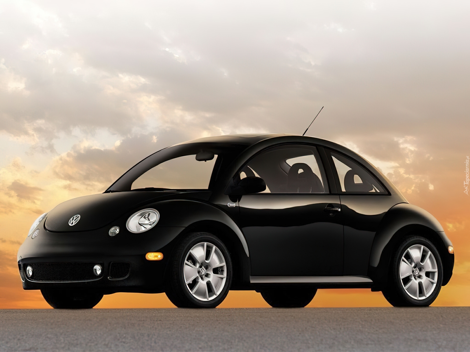 New Beetle, Czarne