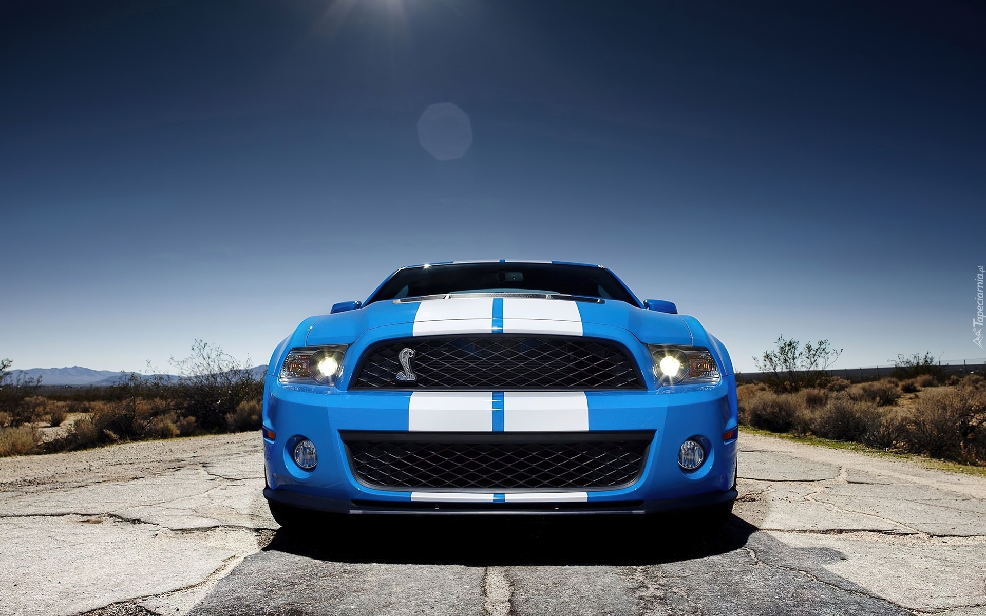 Shelby, Ford Mustang