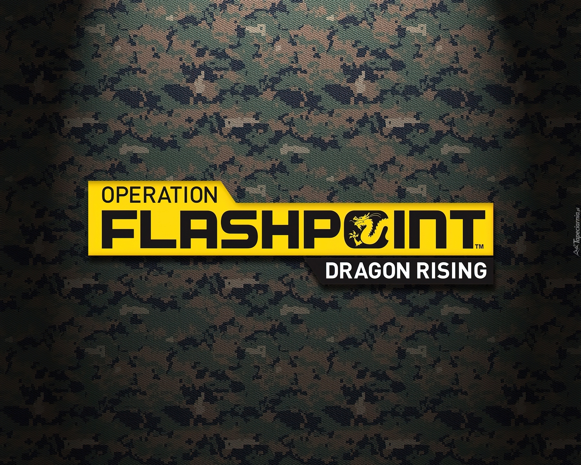 Logo, Operation Flashpoint 2