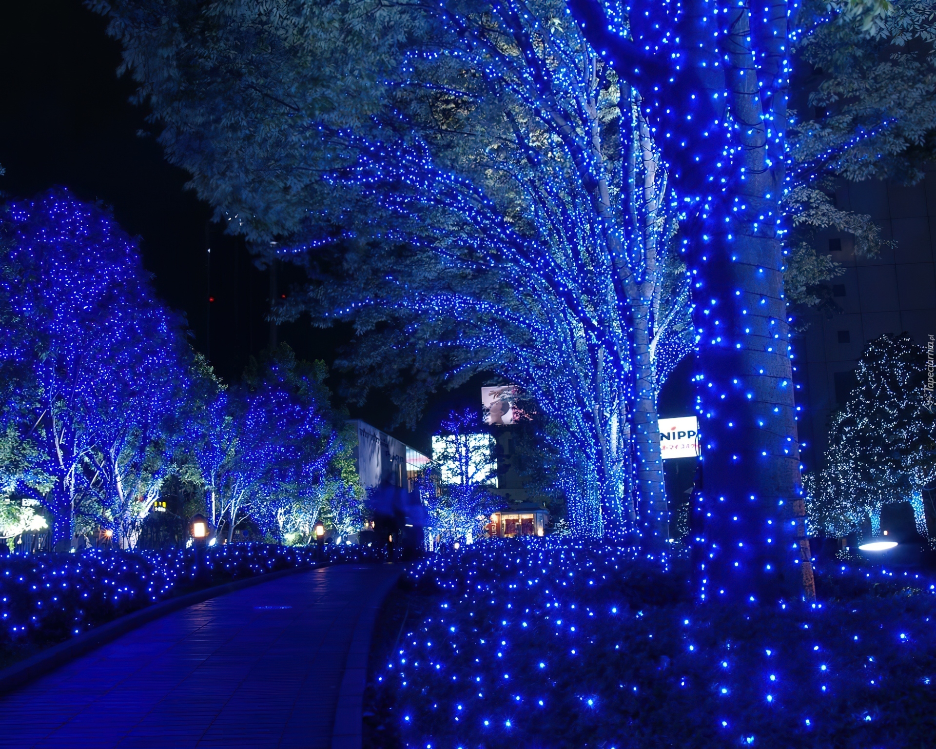 Tokio, Japonia, Święta