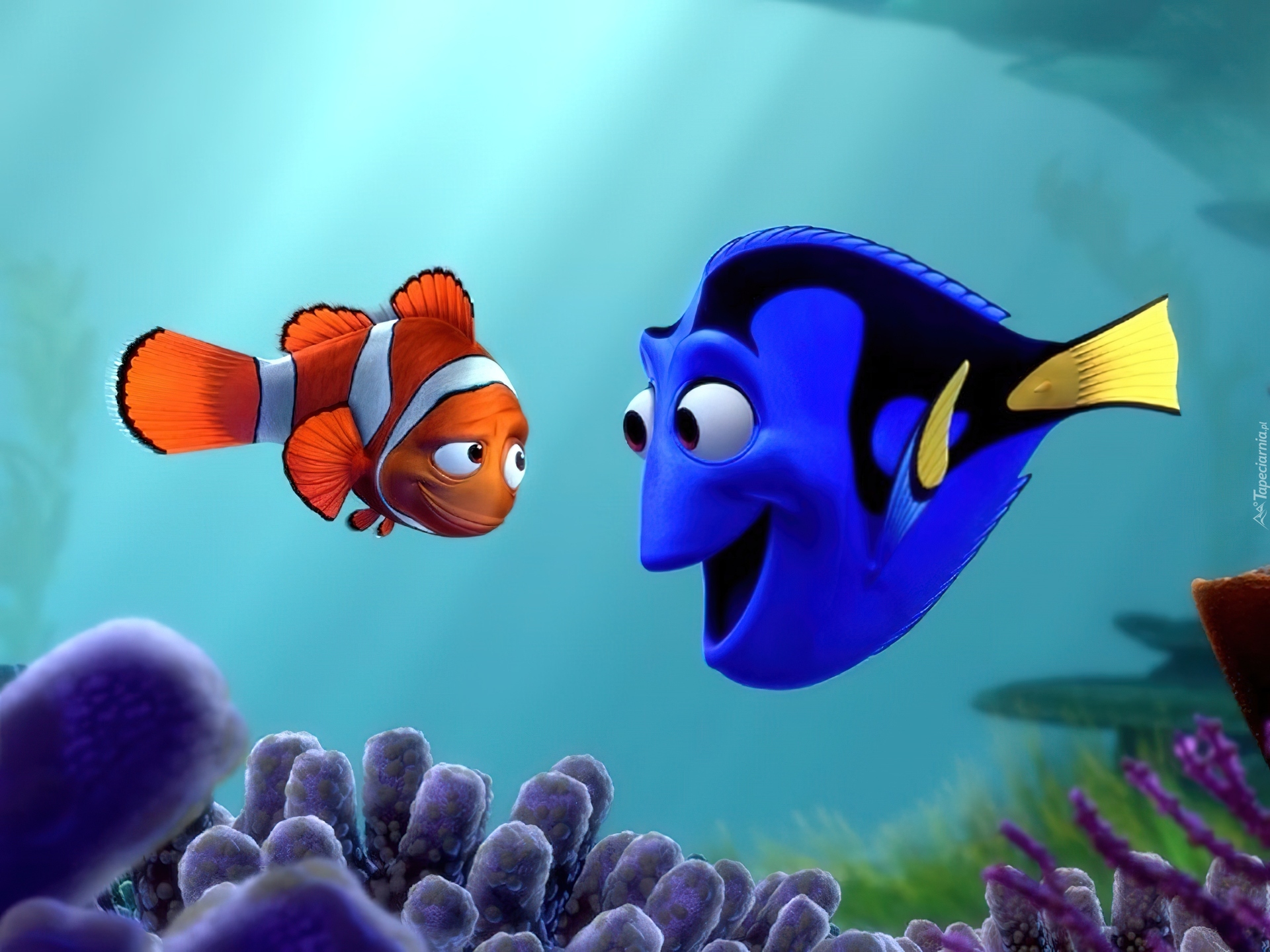 Gdzie jest Nemo, Finding Nemo, Nemo, Dory