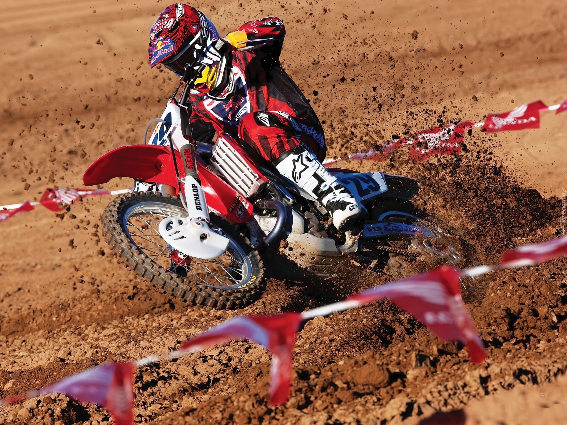 Cross, Honda, Team, Red Bull Racing
